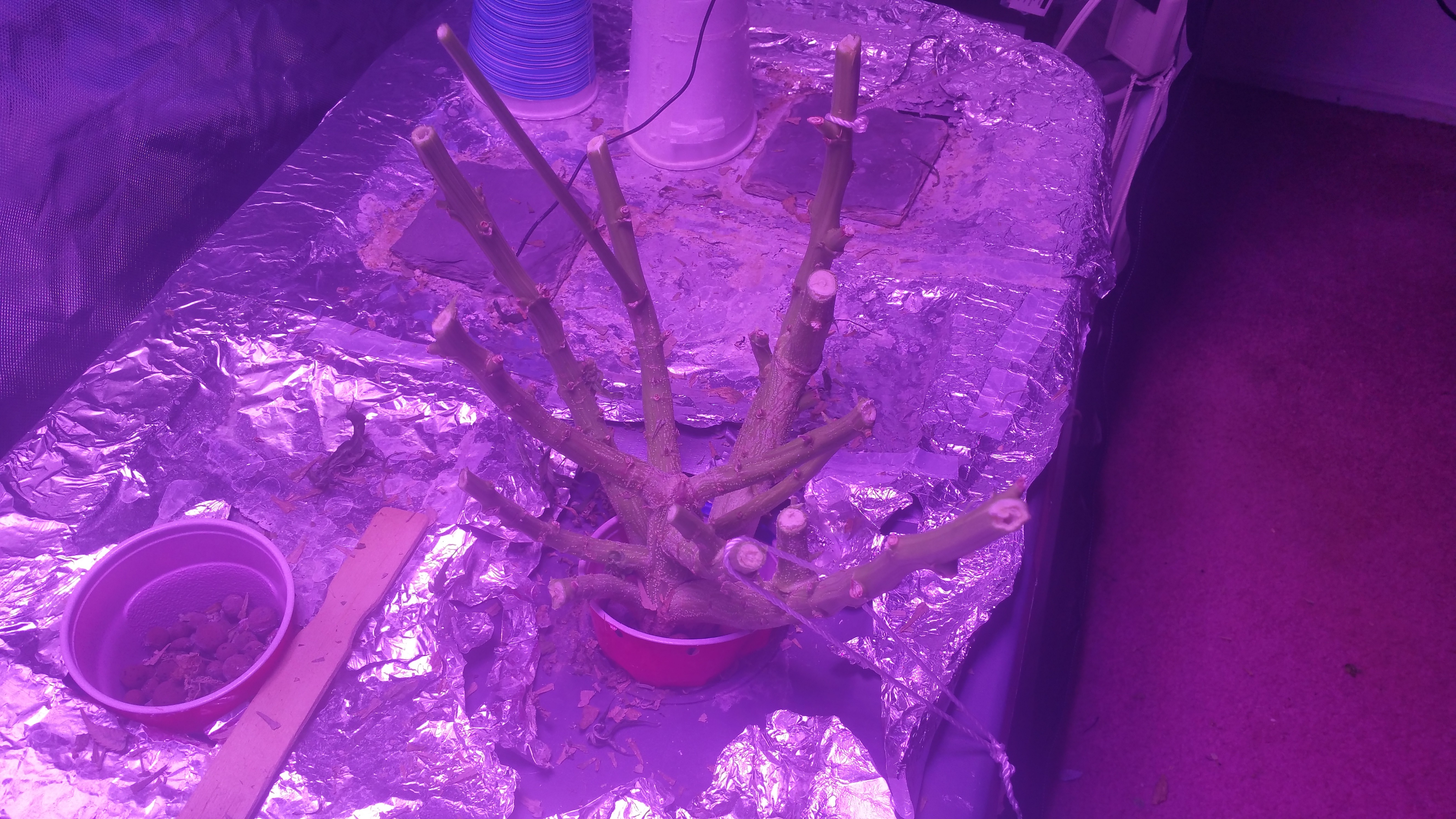 20190505_160201.jpg