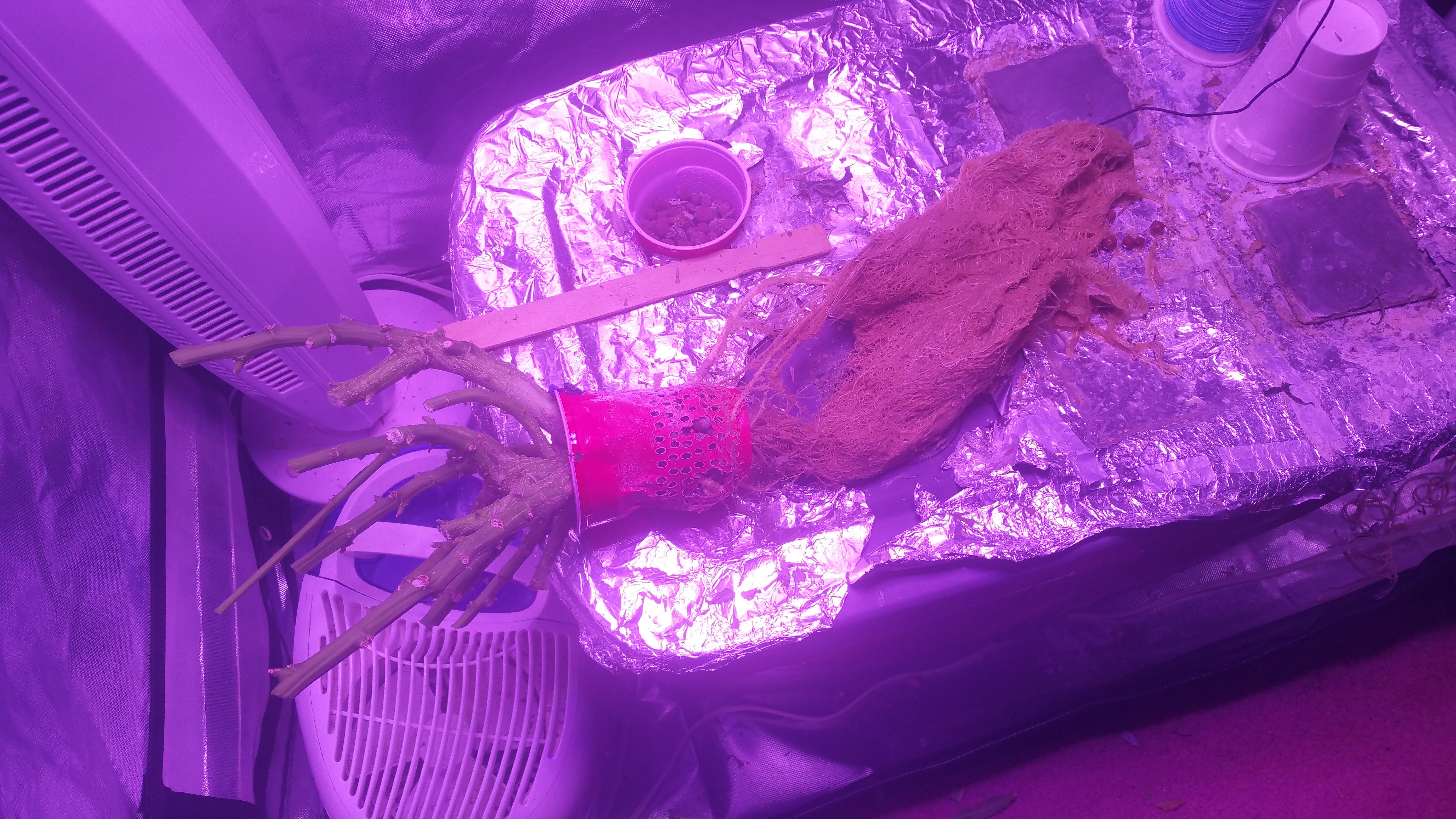 20190505_160330.jpg