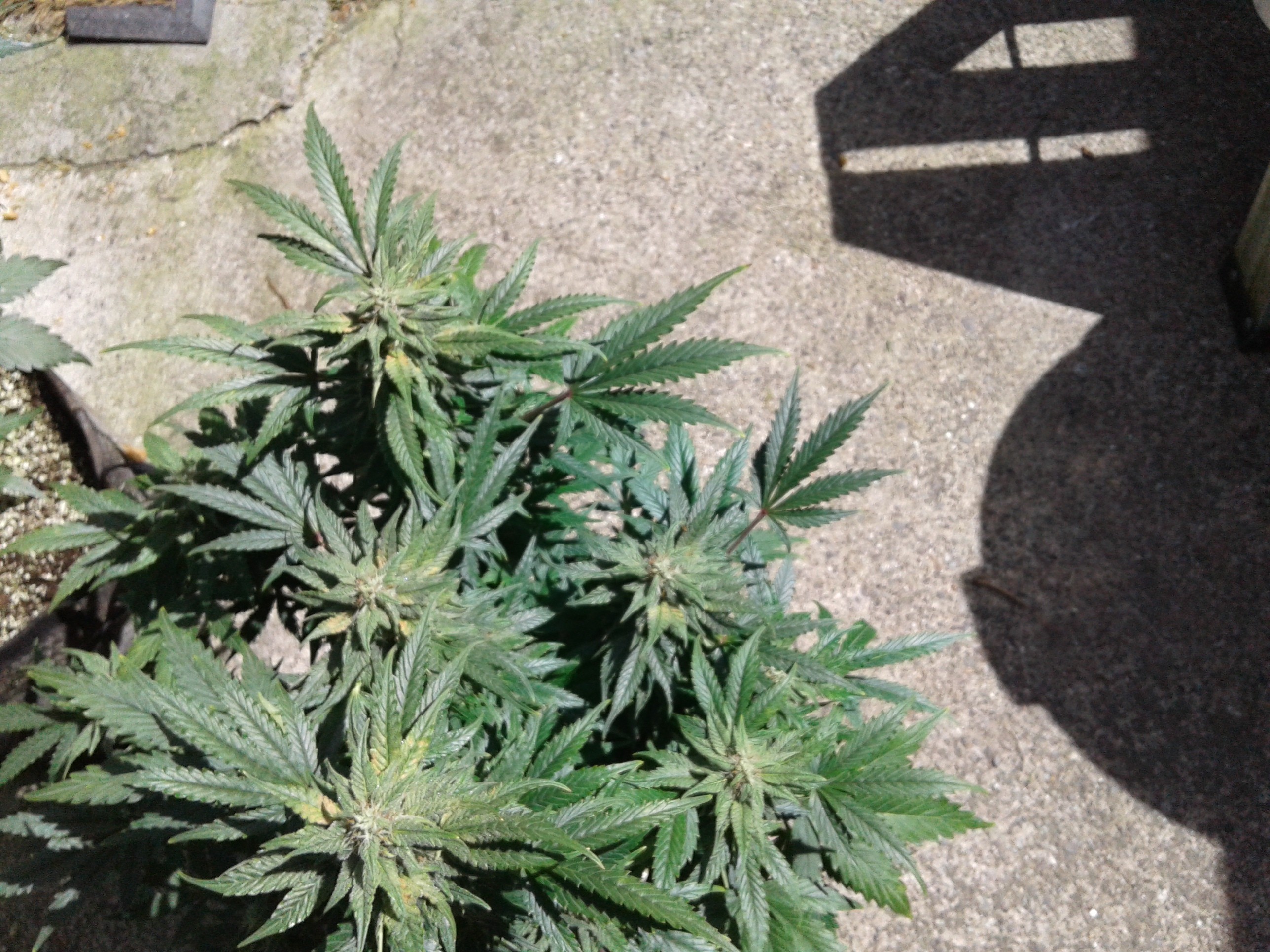 20190506_115444.jpg