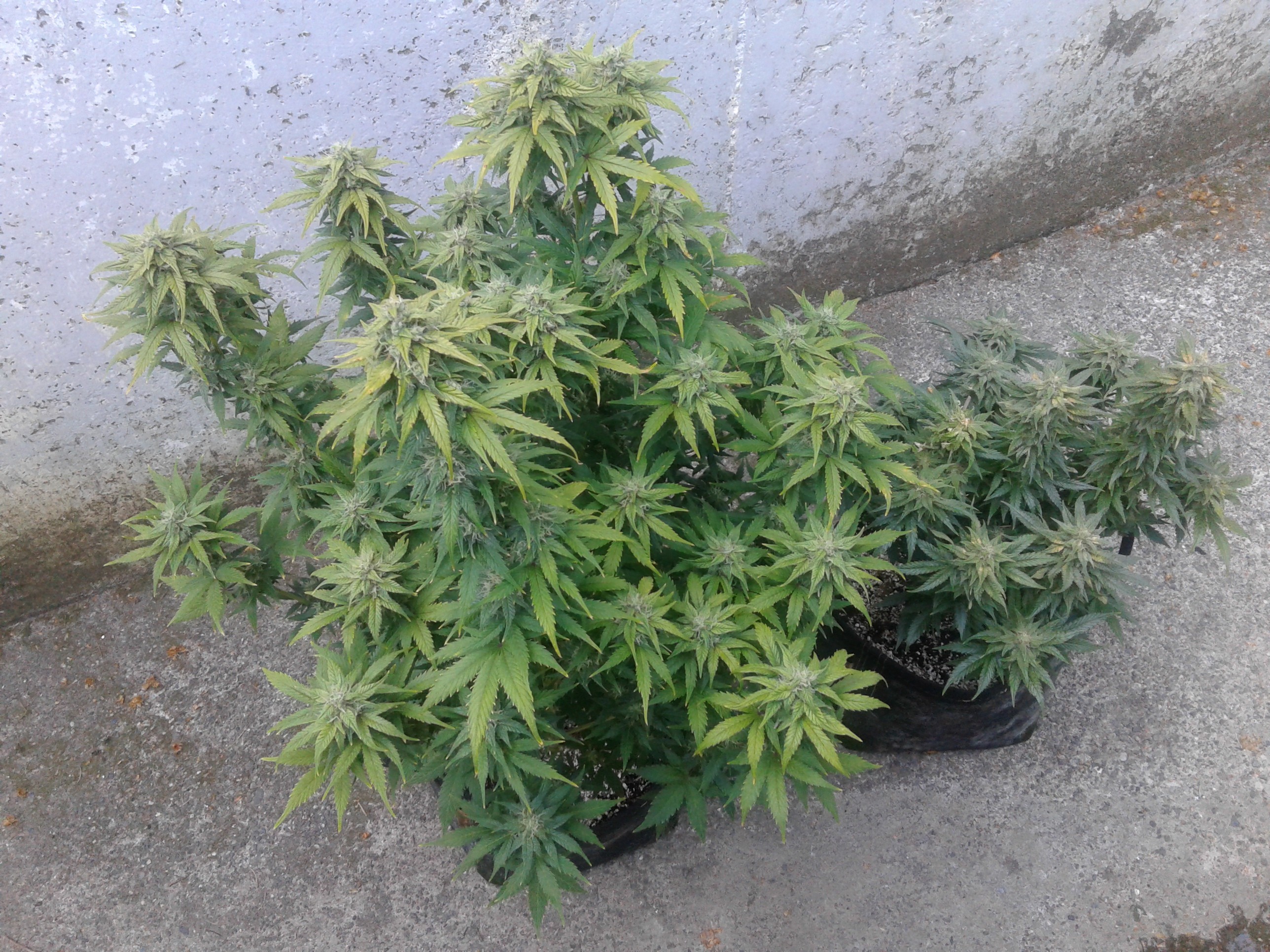 20190510_101032.jpg