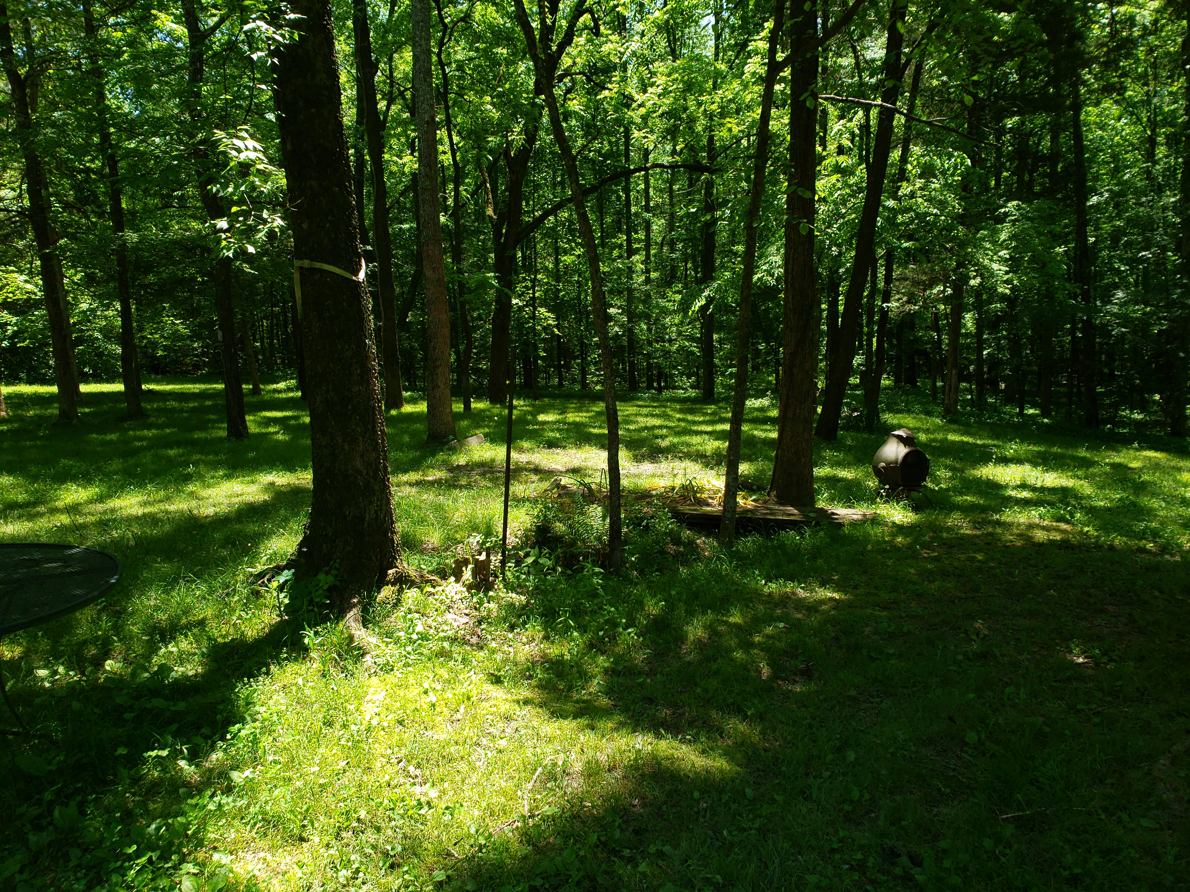 20190514_121730.jpg