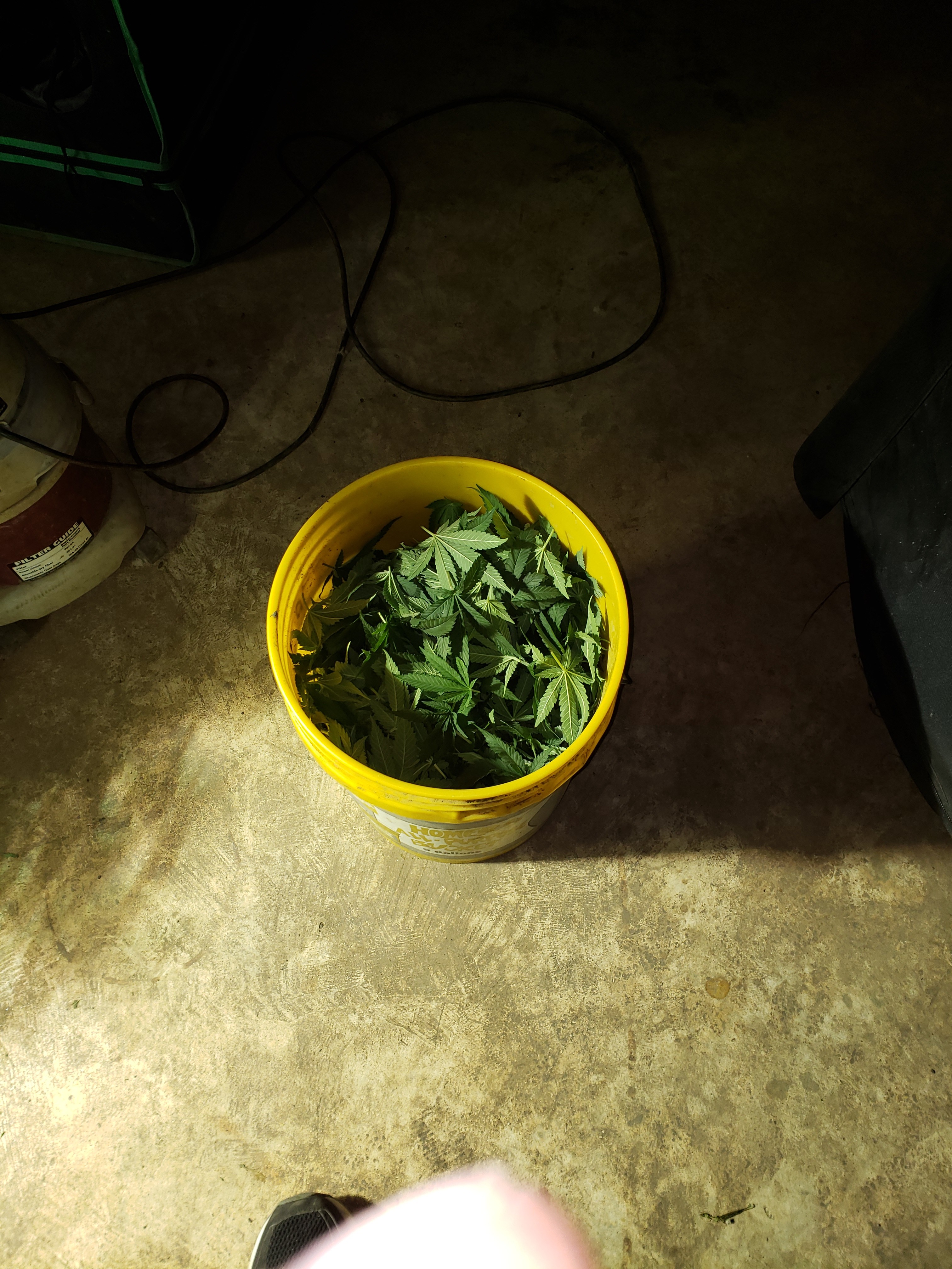 20190602_121119.jpg