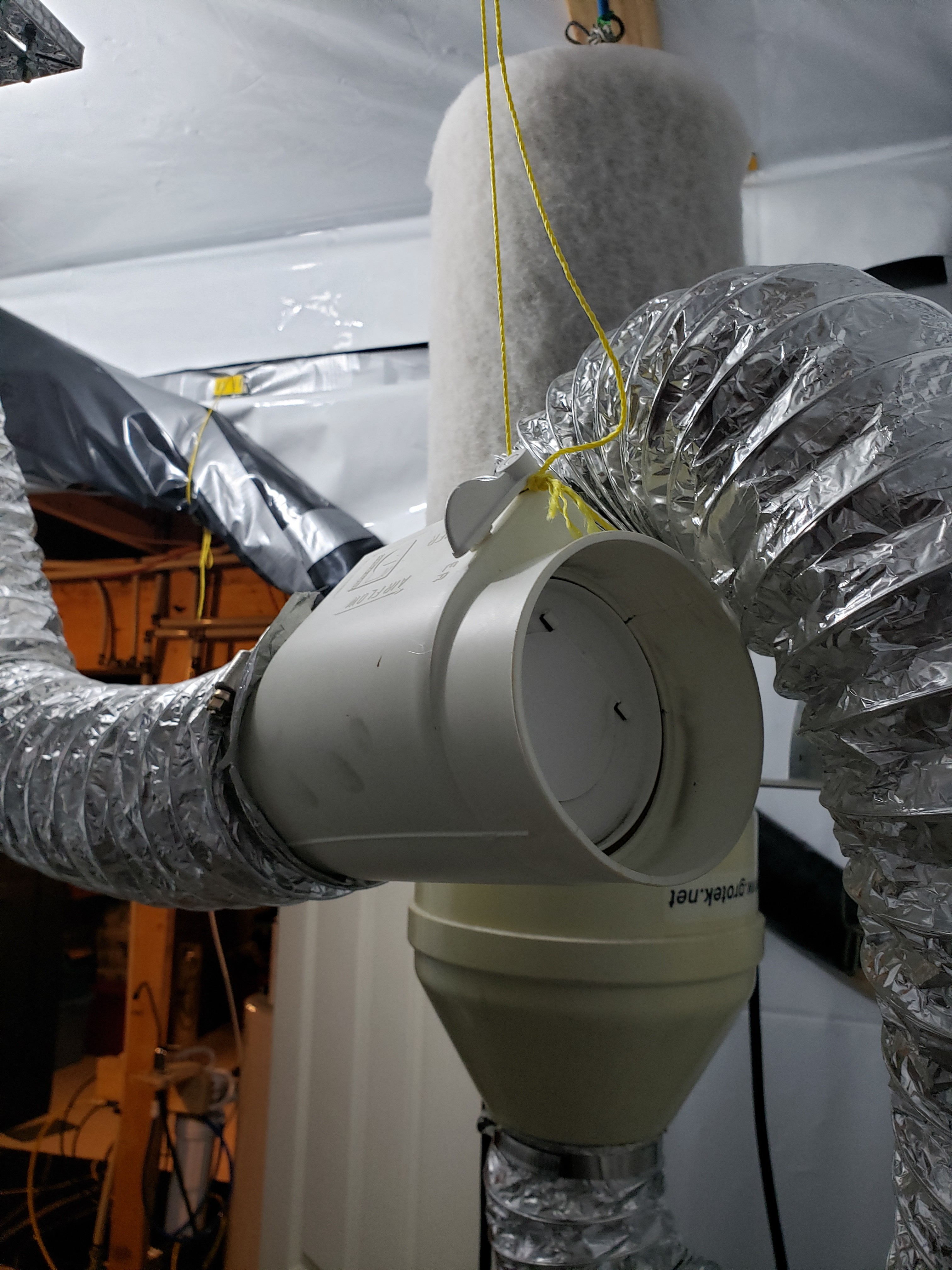 20190603_111755[1].jpg