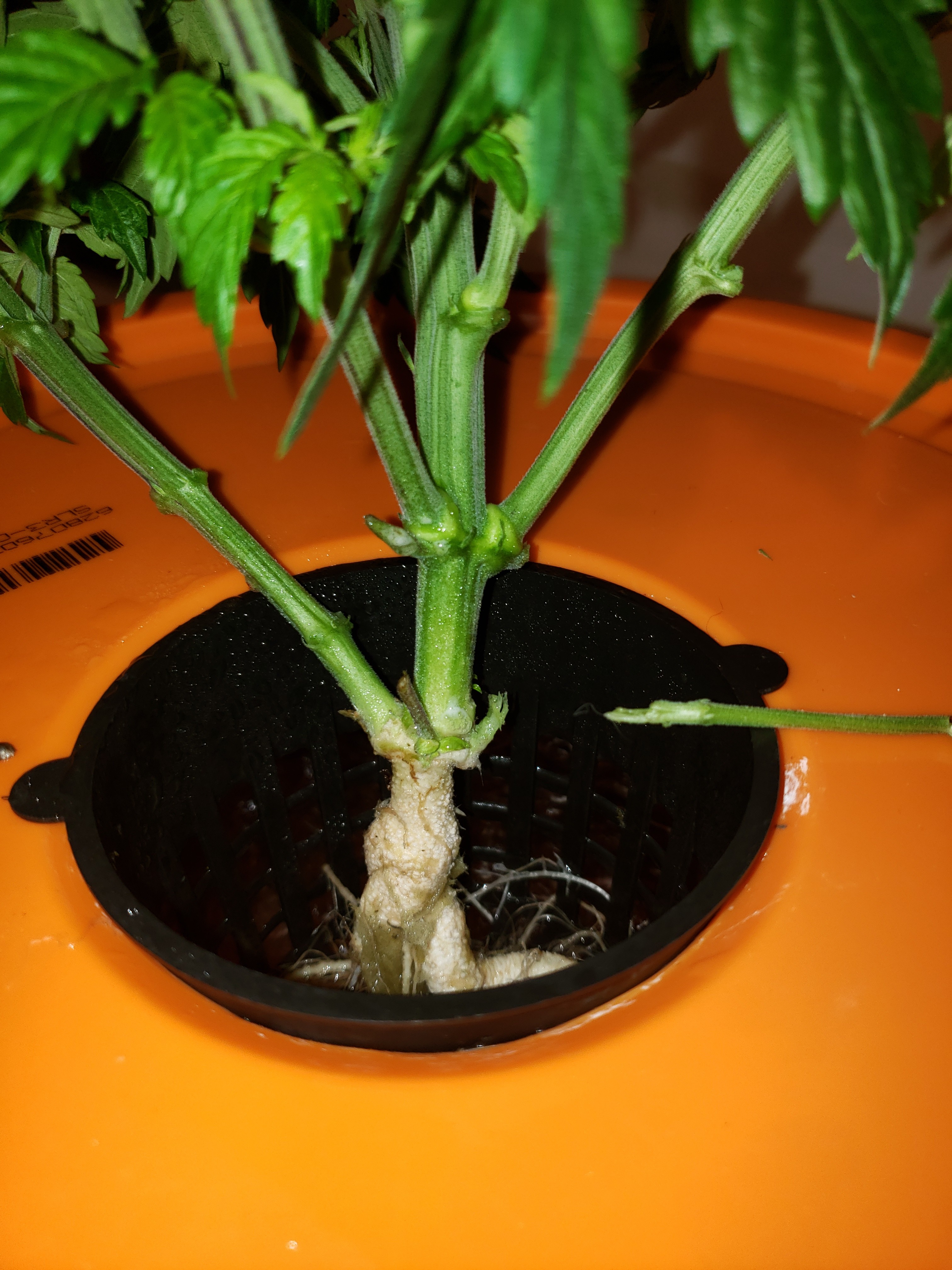 20190610_154250[1].jpg