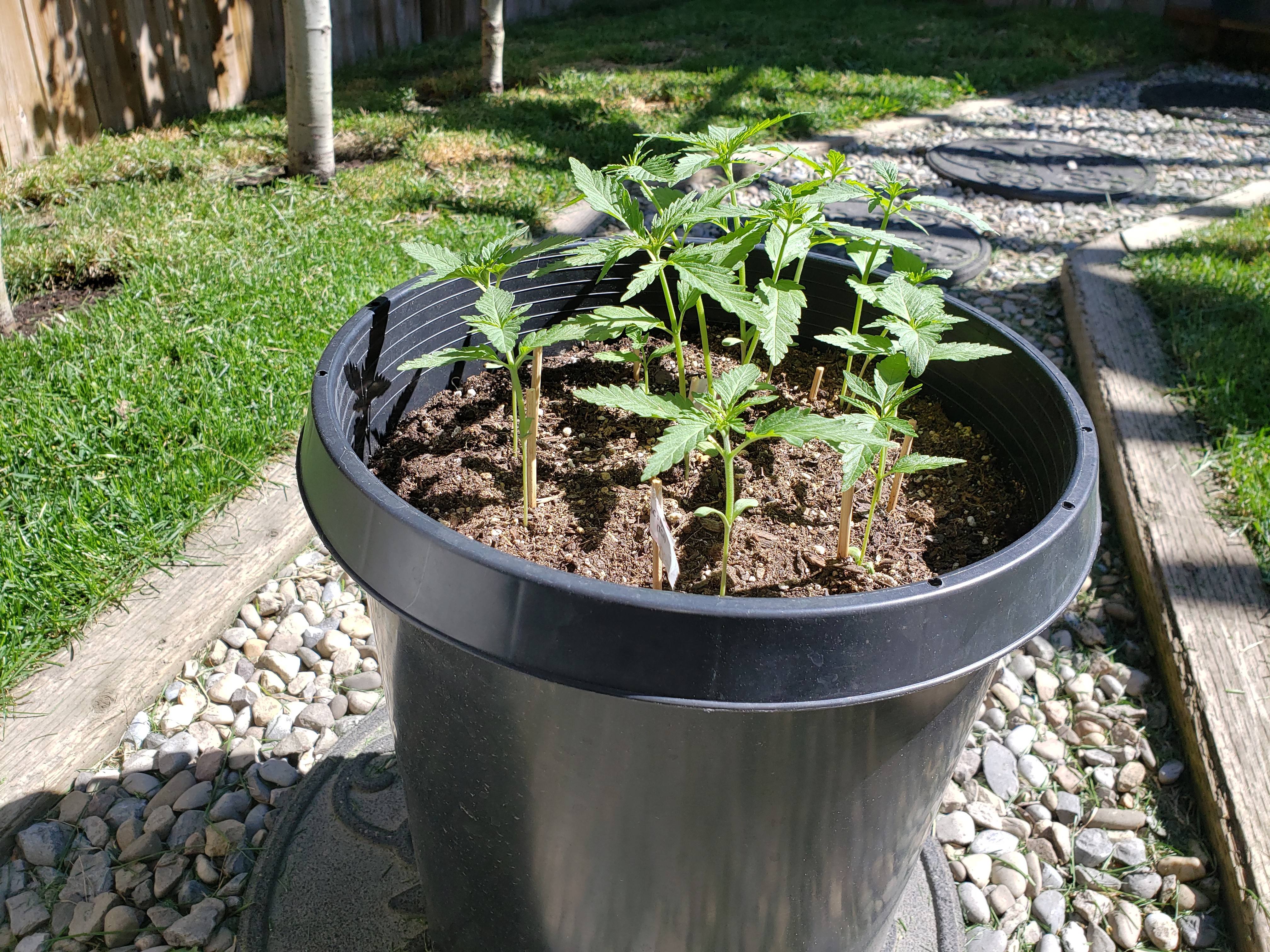 20190617_110042[1].jpg