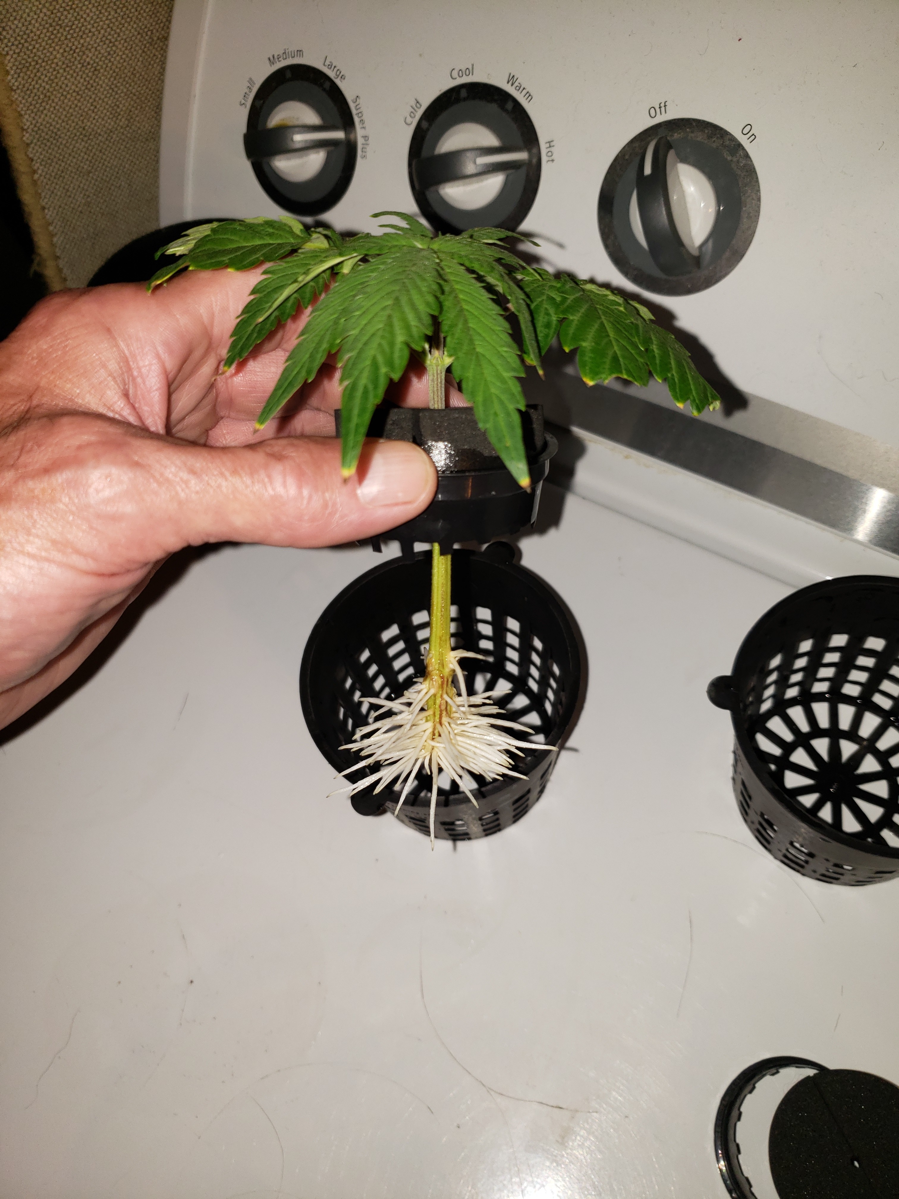 Click image for larger version  Name:	20190710_111828[1].jpg Views:	1 Size:	1.97 MB ID:	321958
