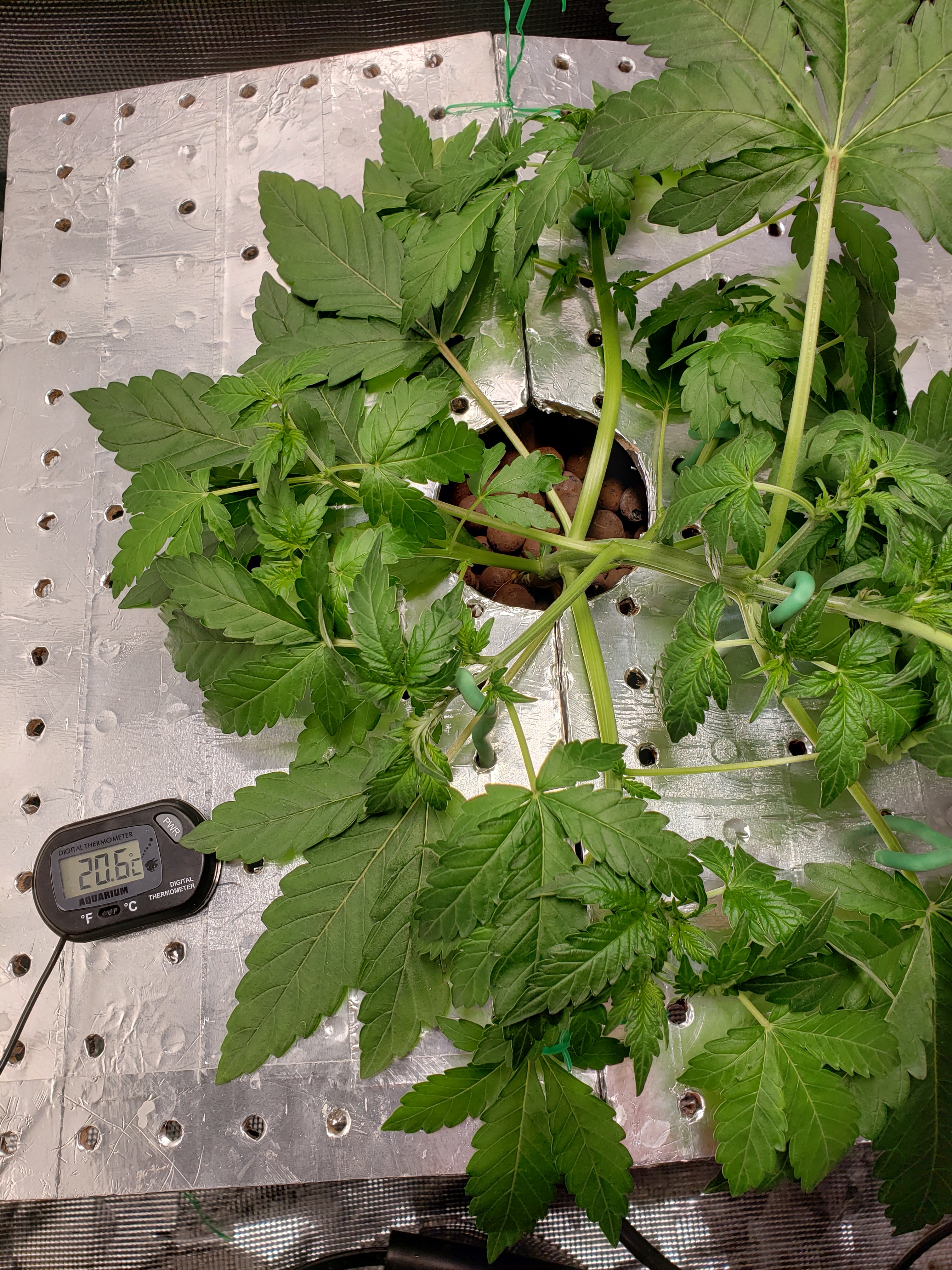 20190714_092438.jpg