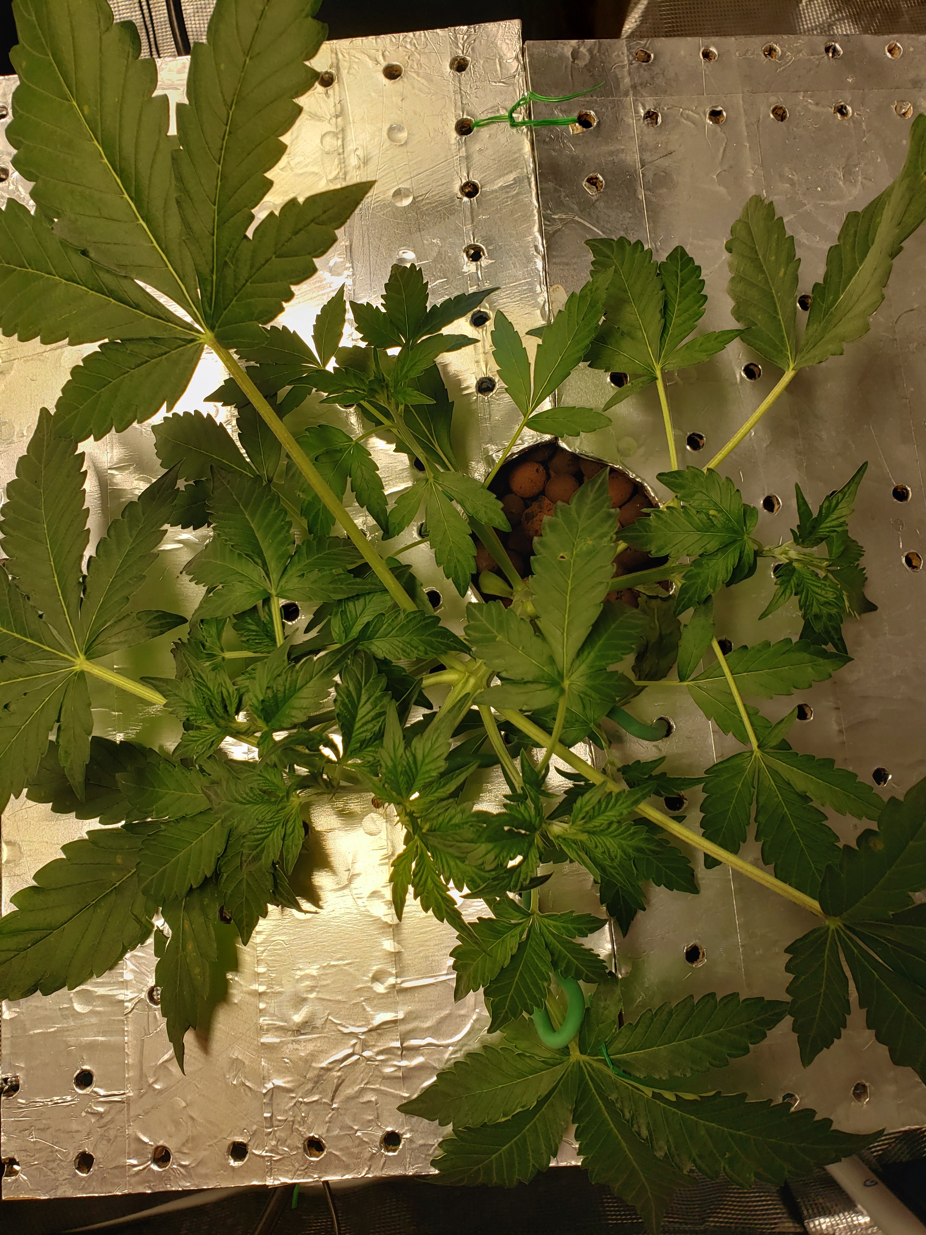 20190714_092525.jpg