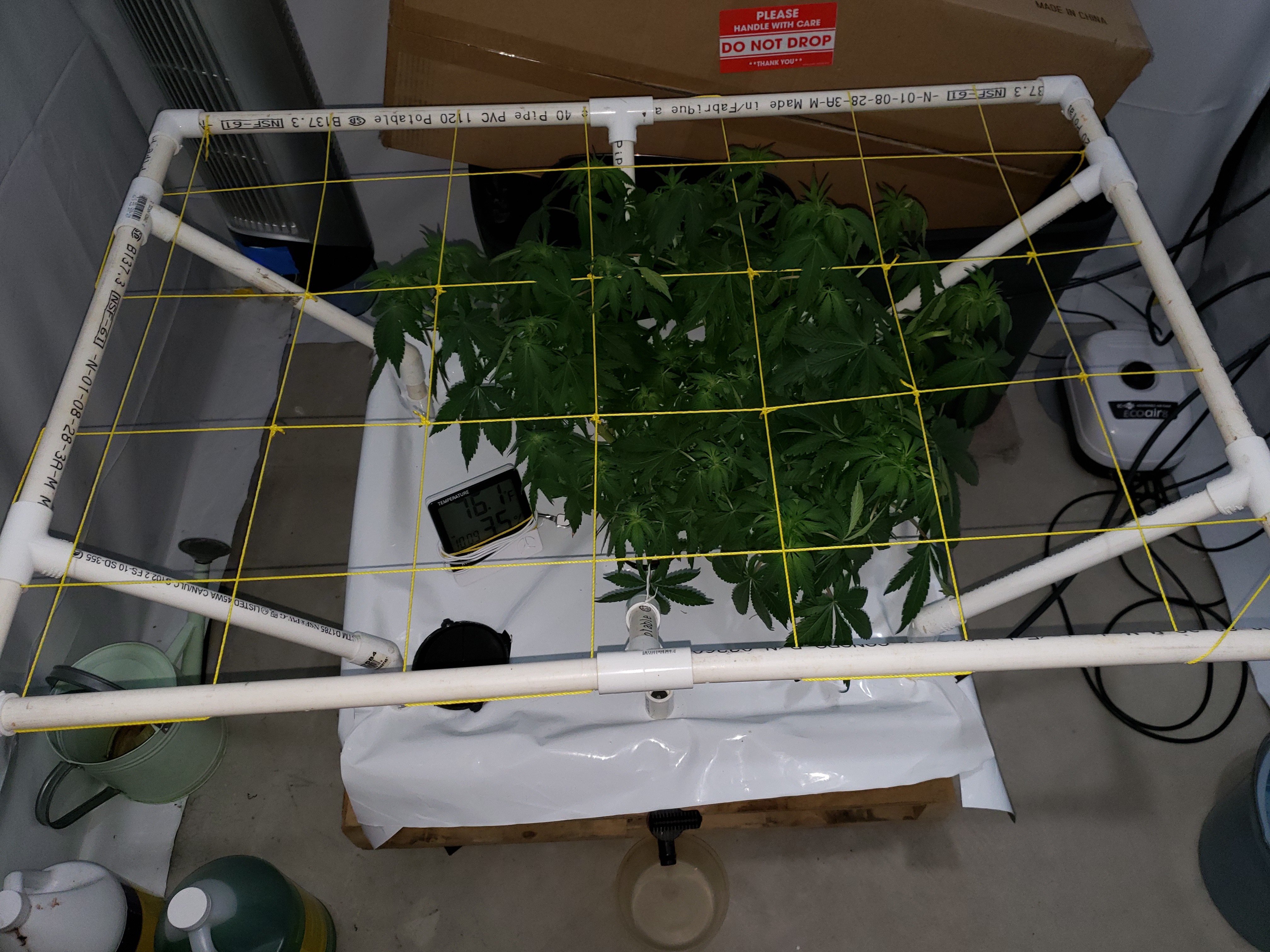 20190714_103900[1].jpg