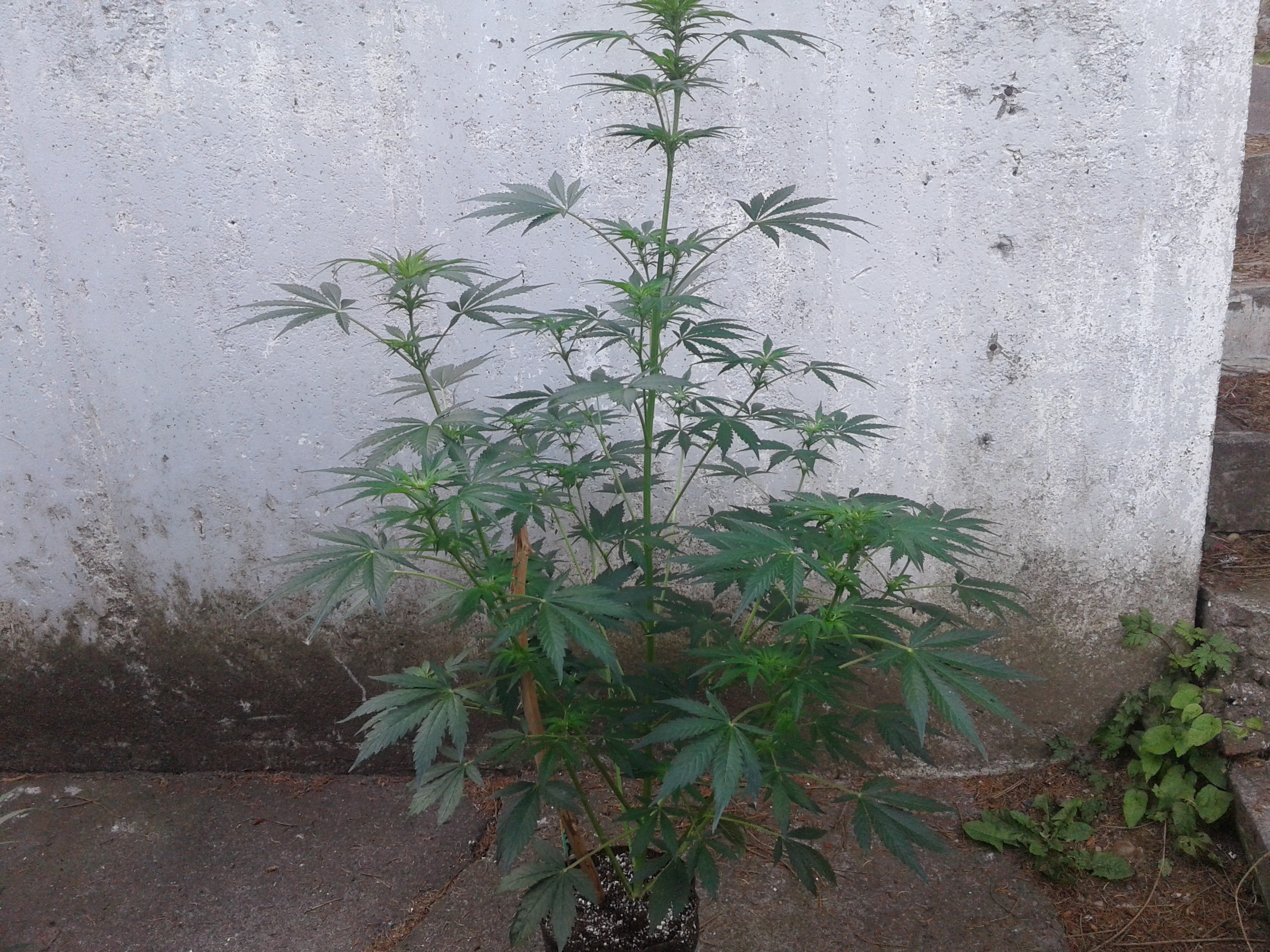 20190715_053042.jpg