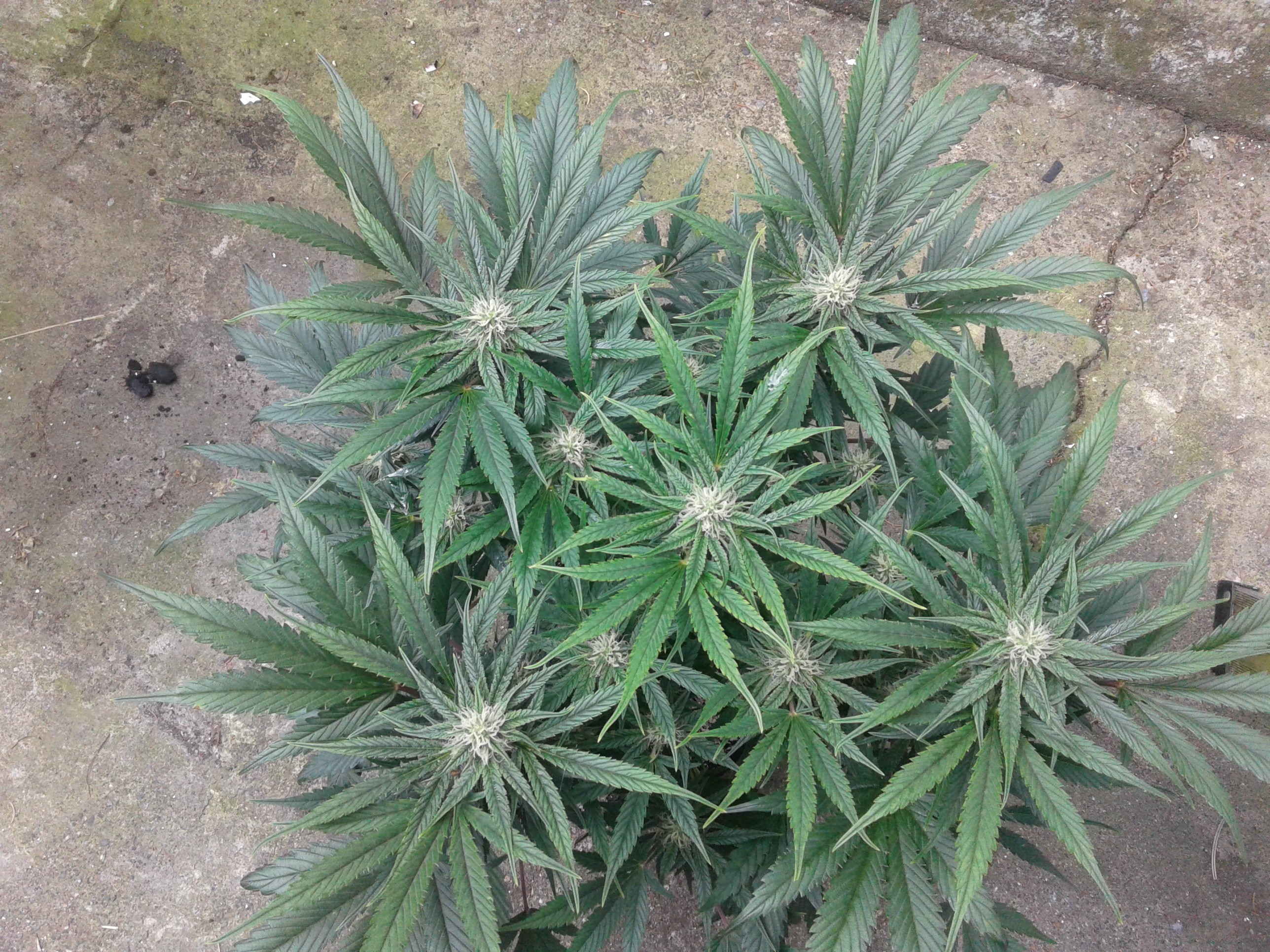 20190715_055103.jpg