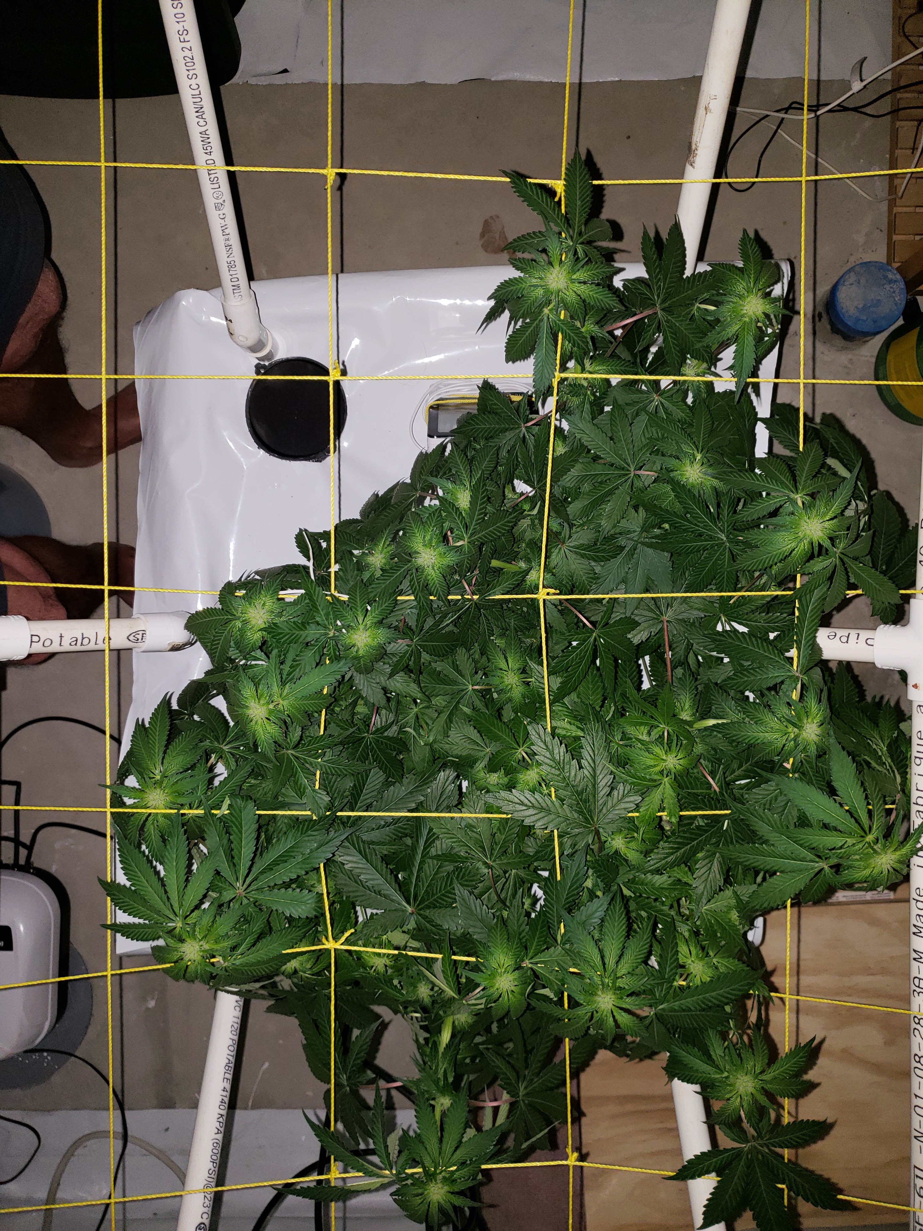 20190718_103028[1].jpg