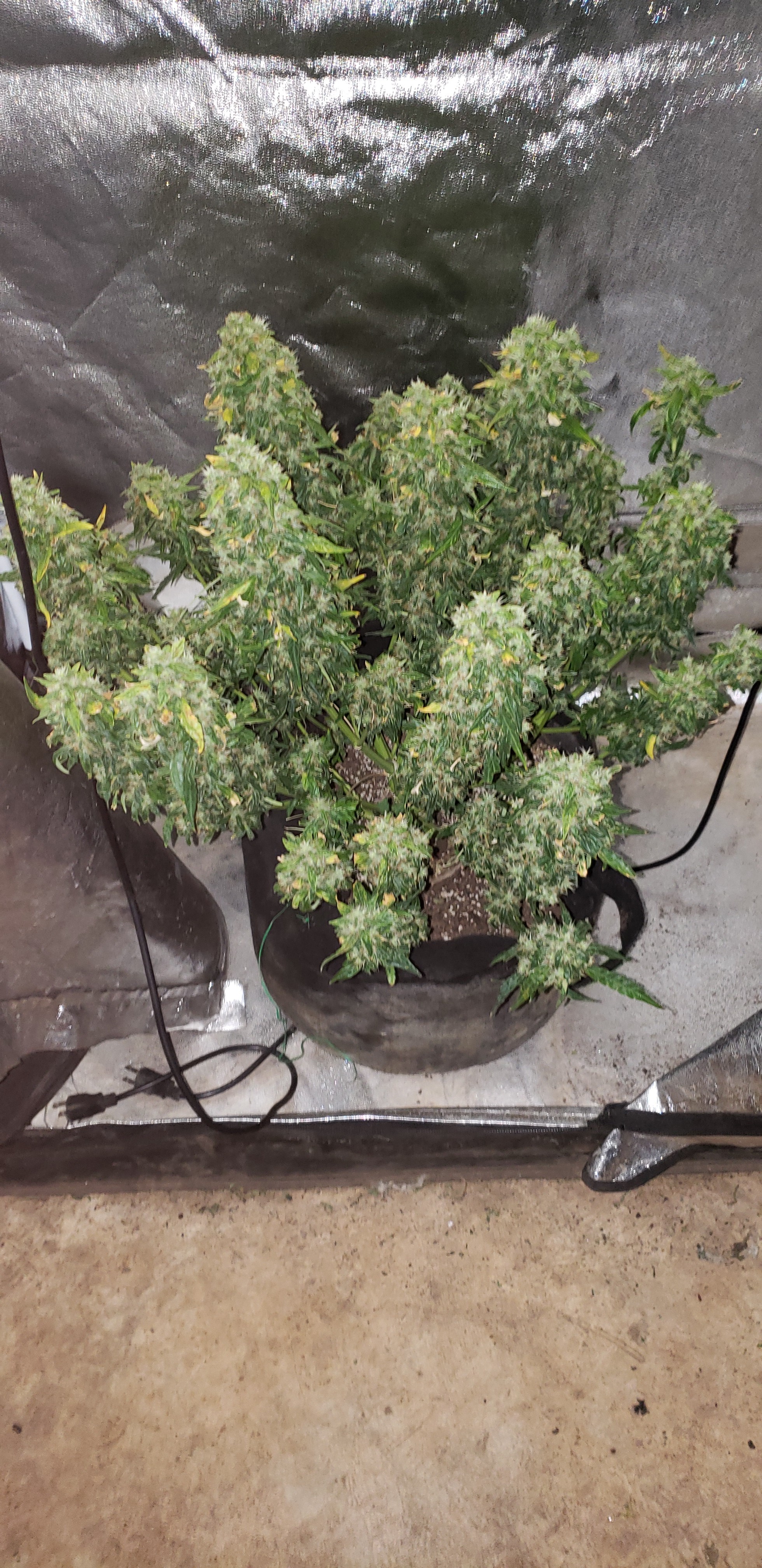 20190727_111201.jpg