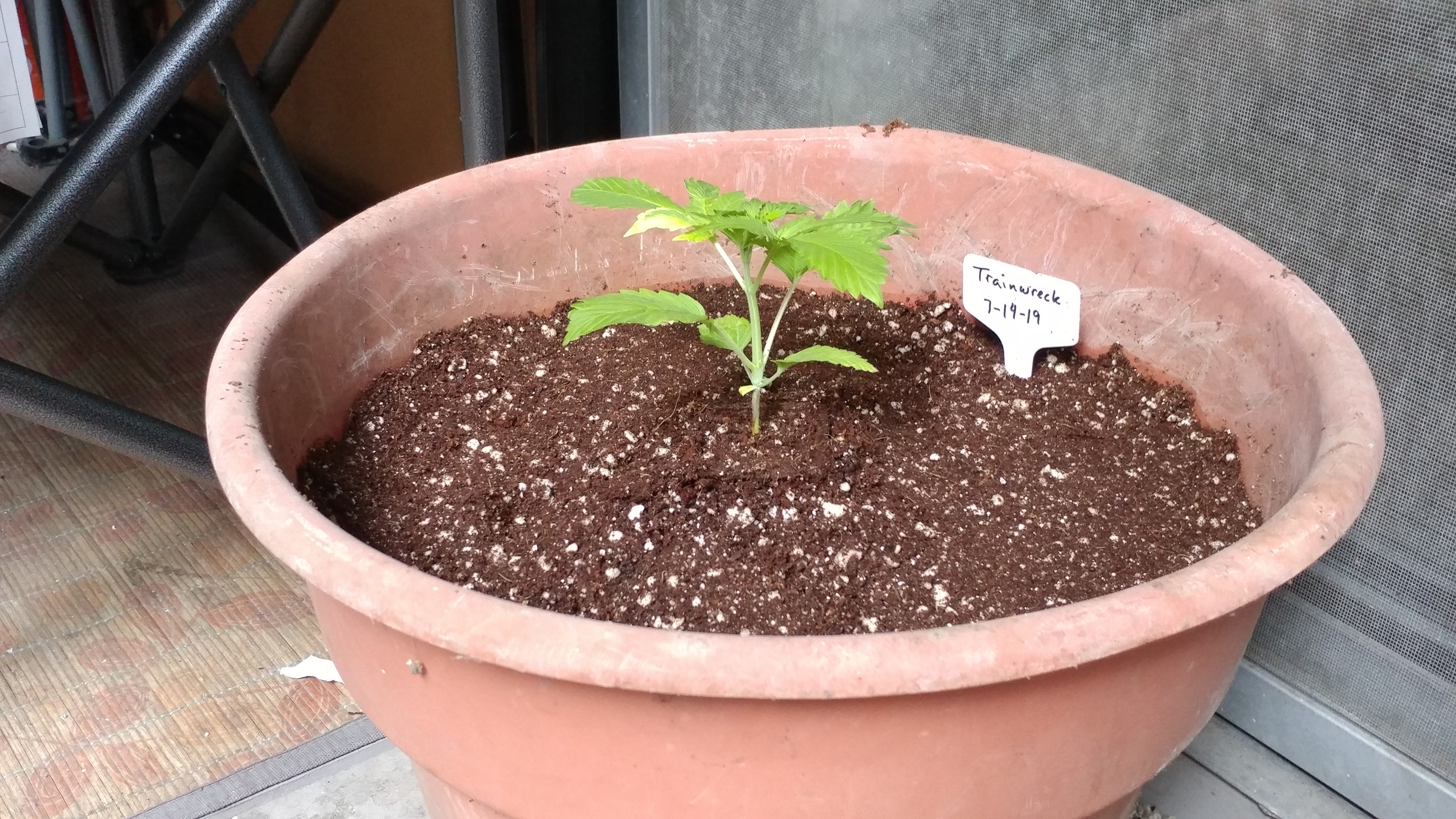 20190731_172642_HDR.jpg