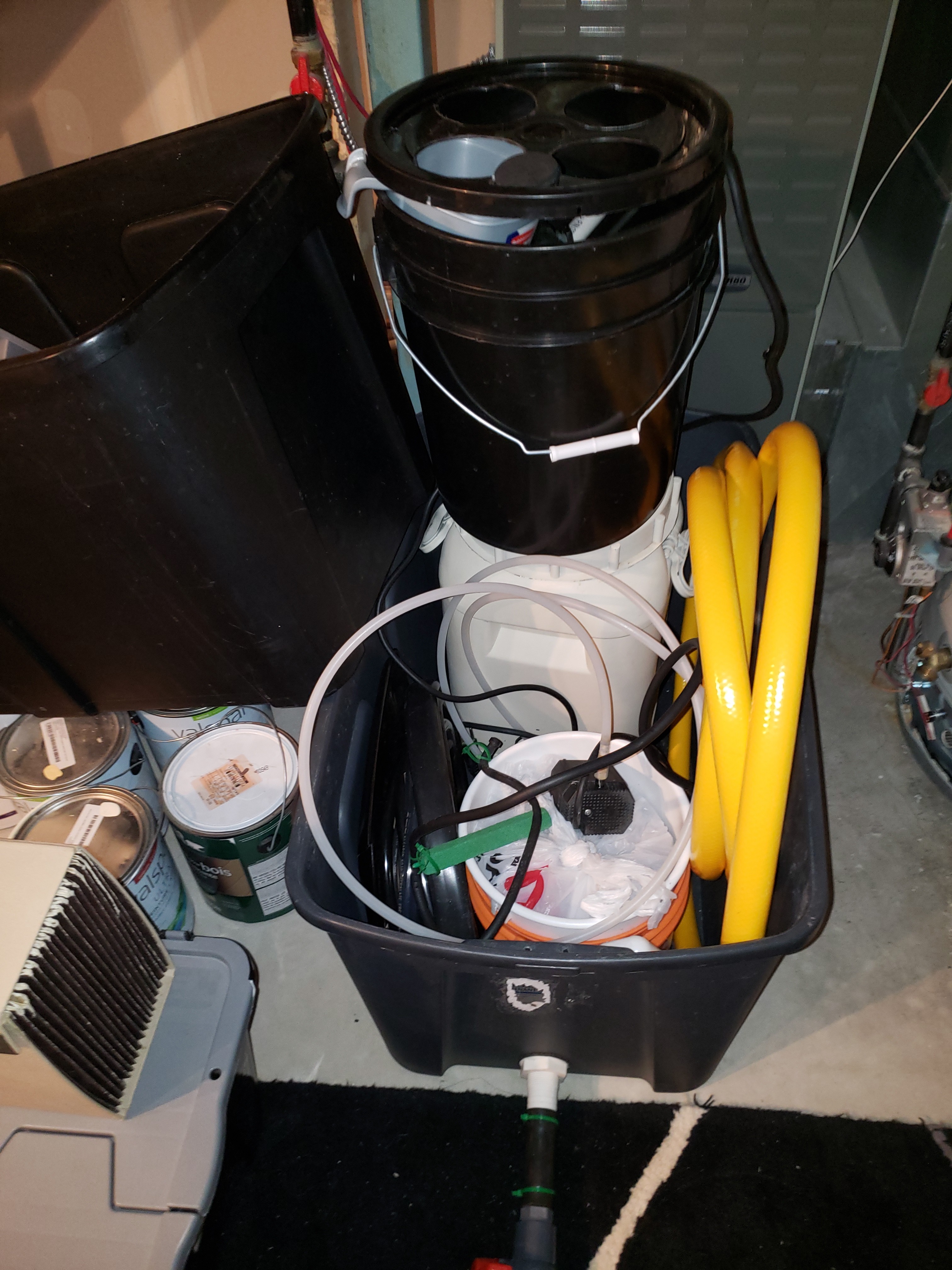 20190801_122755[1].jpg