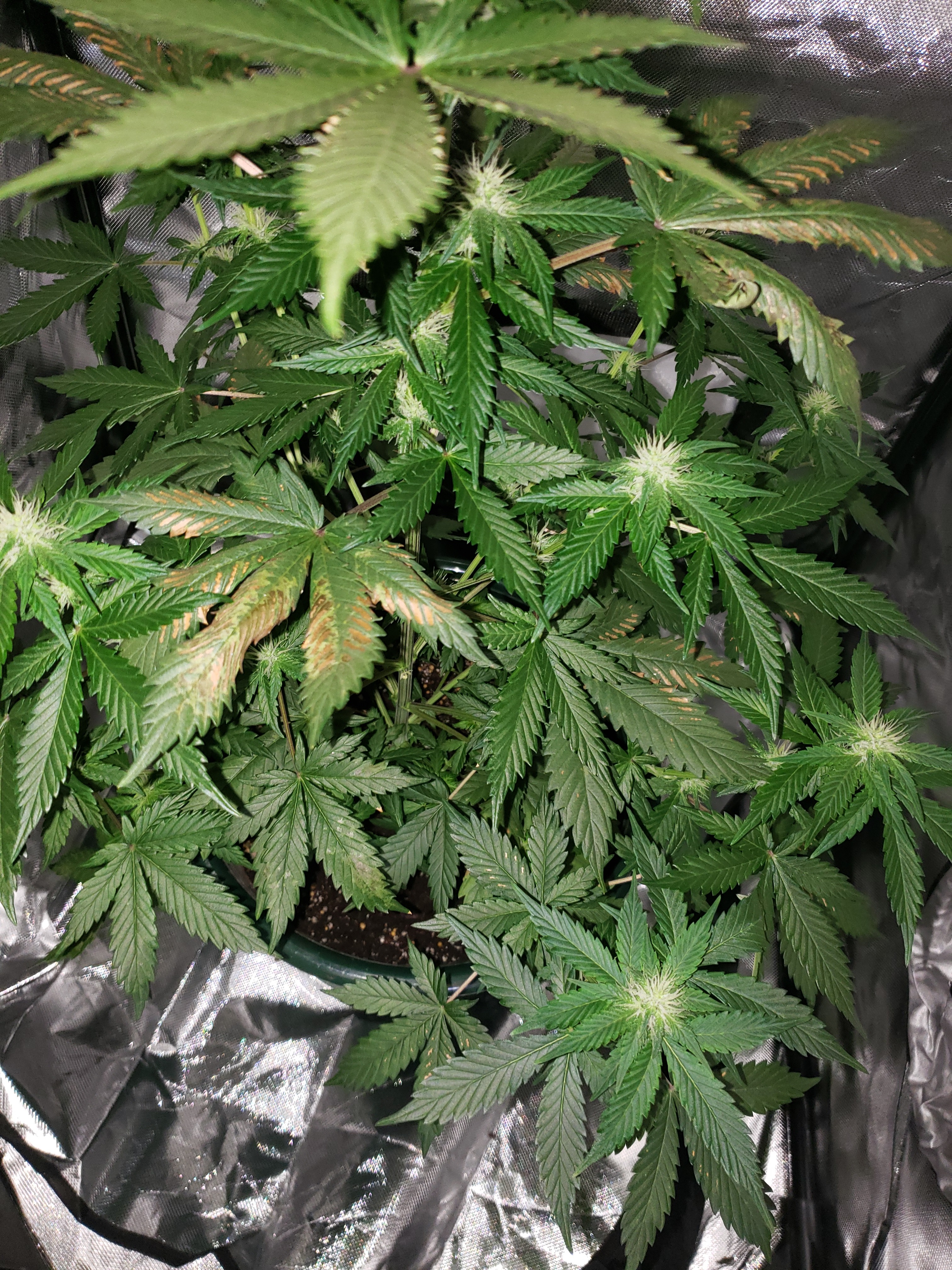 20190810_103111.jpg