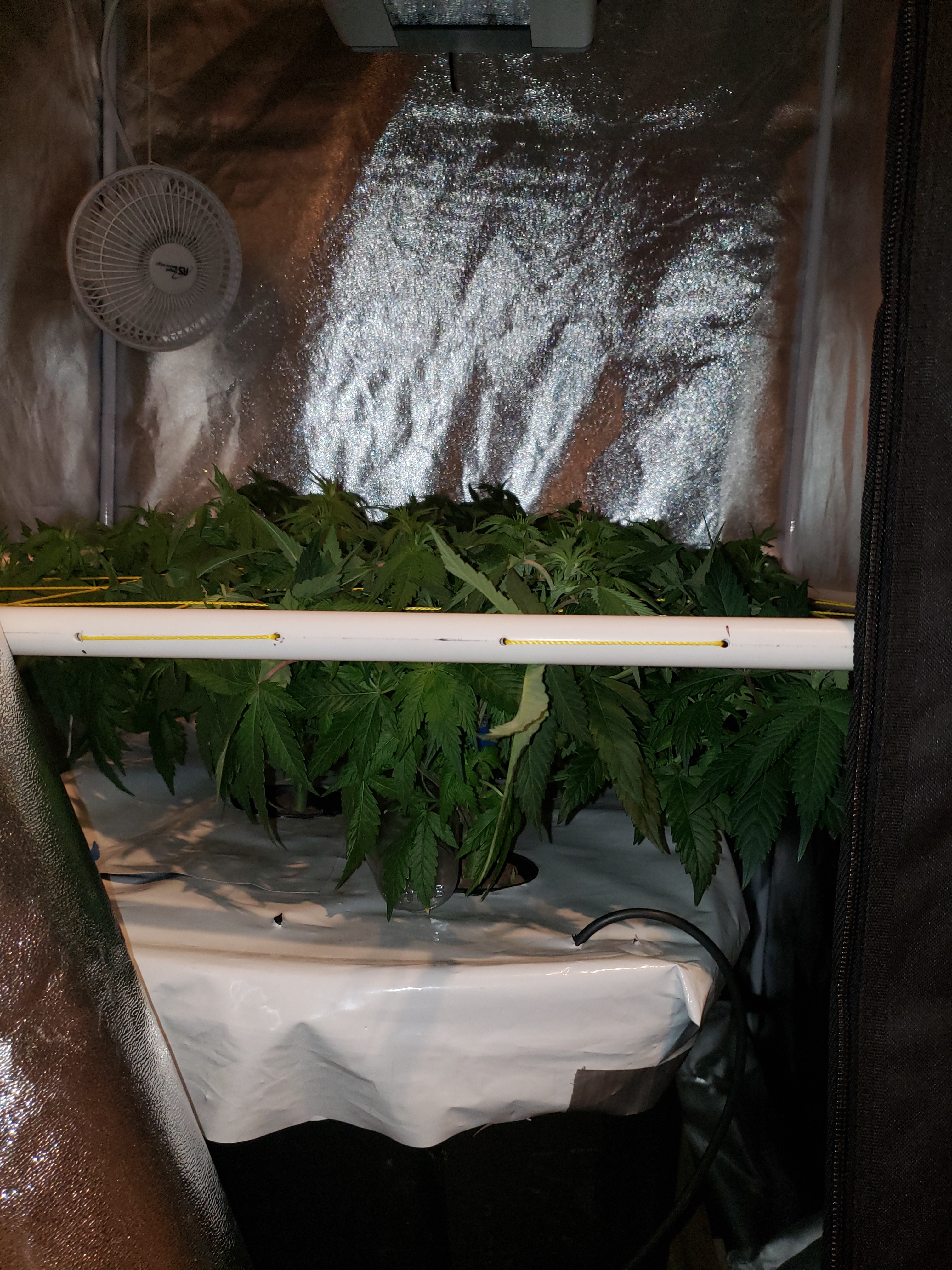 20190811_090520[1].jpg