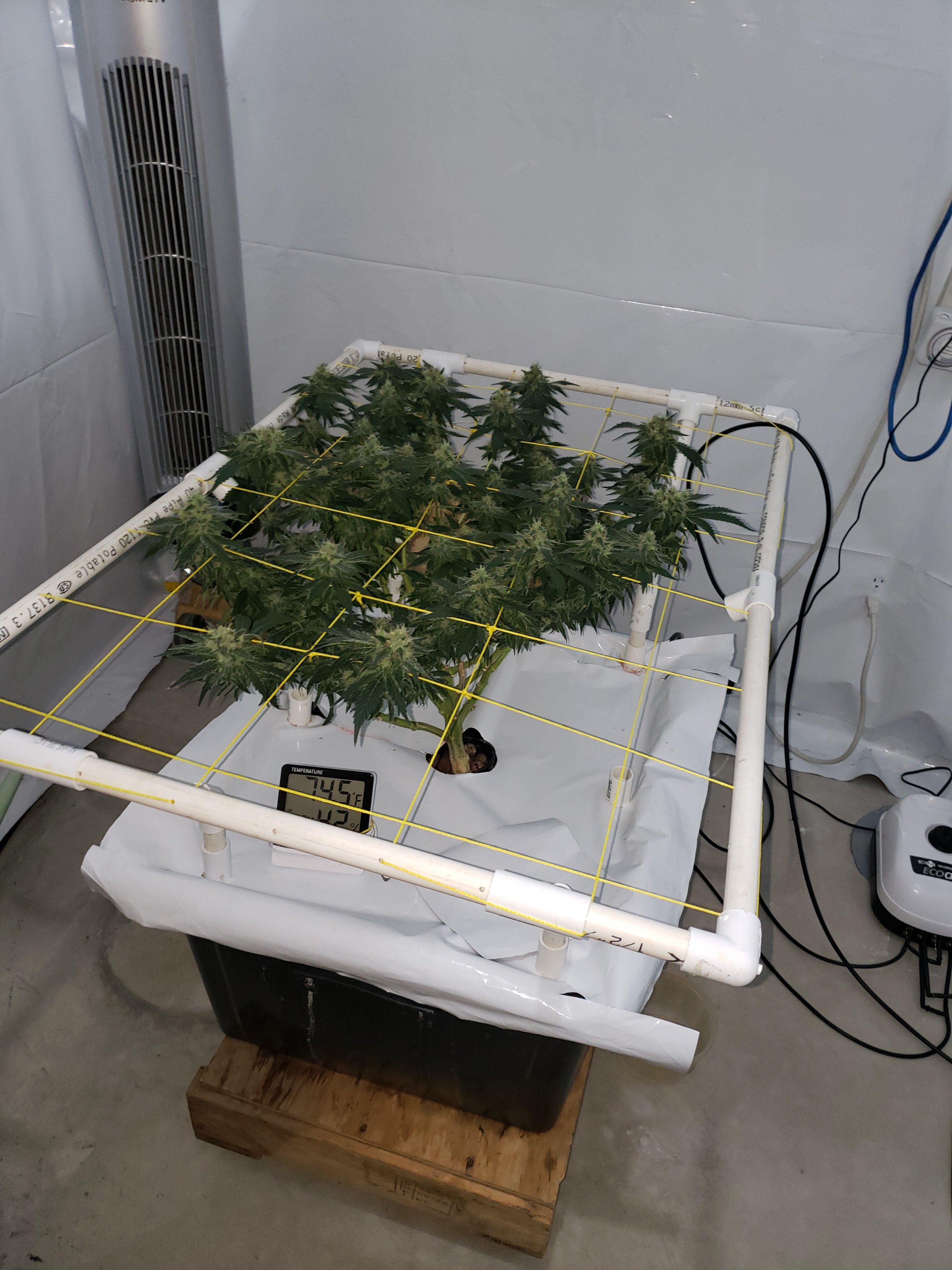 20190811_090553[1].jpg