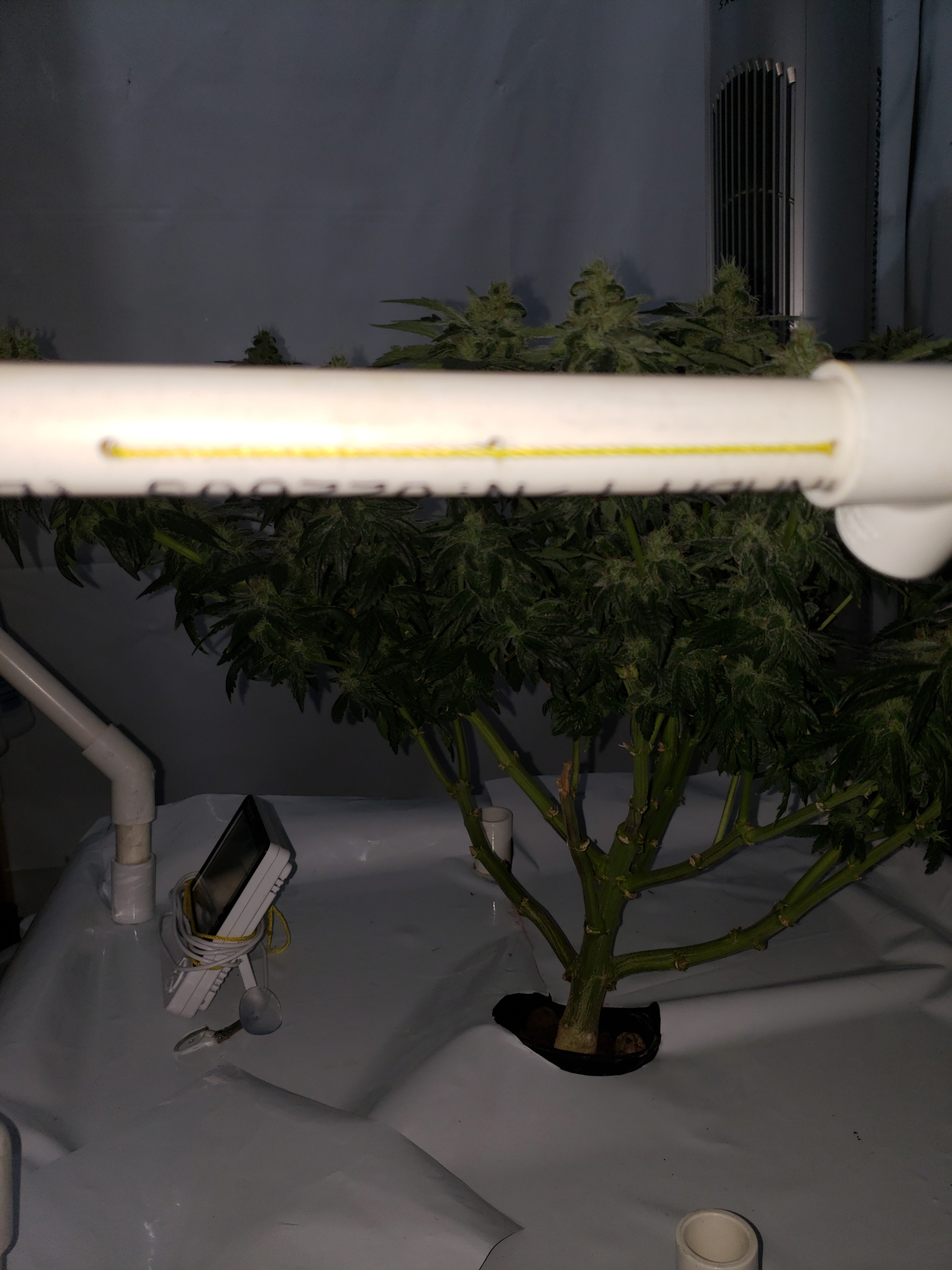 20190811_090601[1].jpg