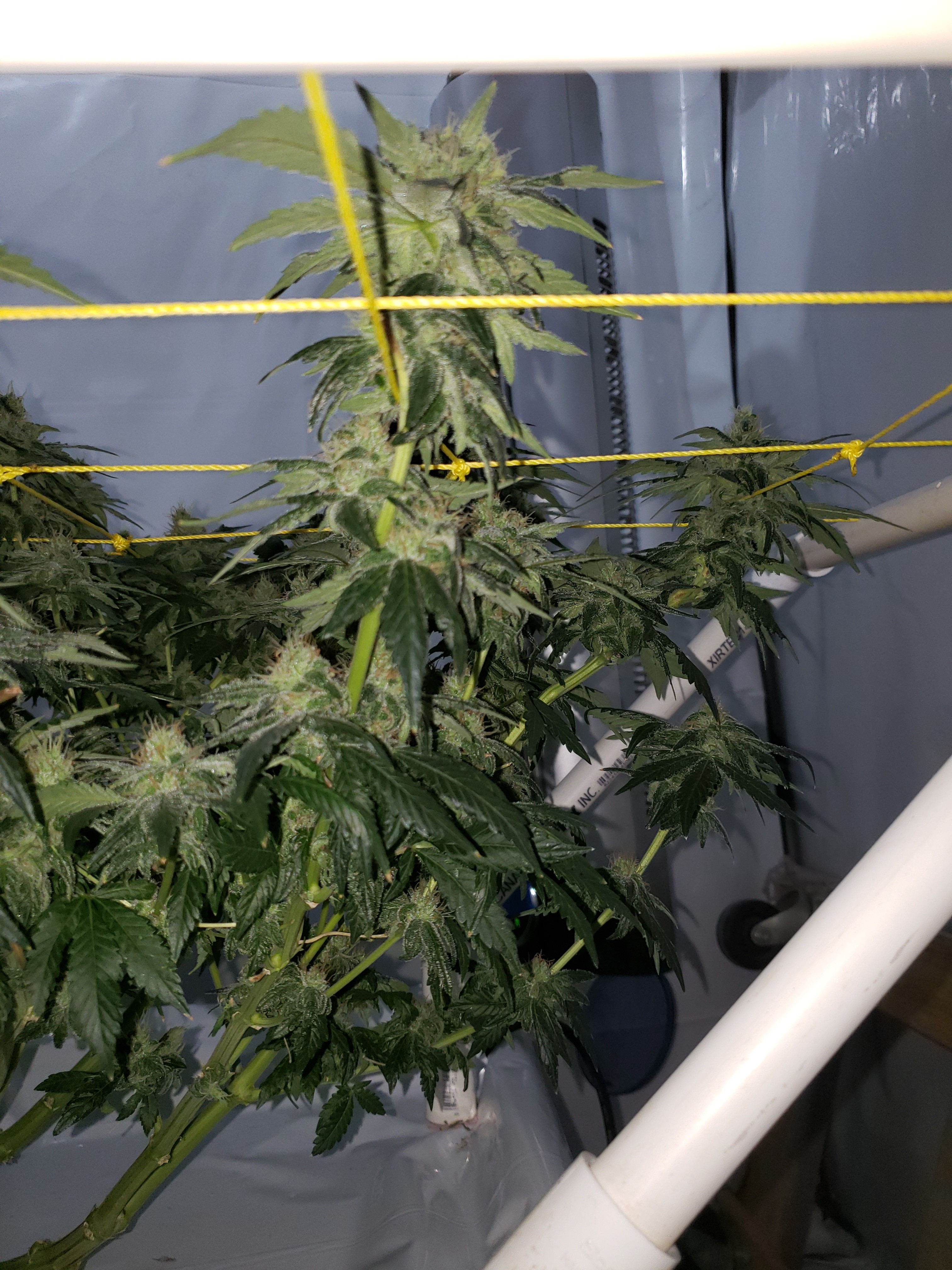 20190811_090620[1].jpg