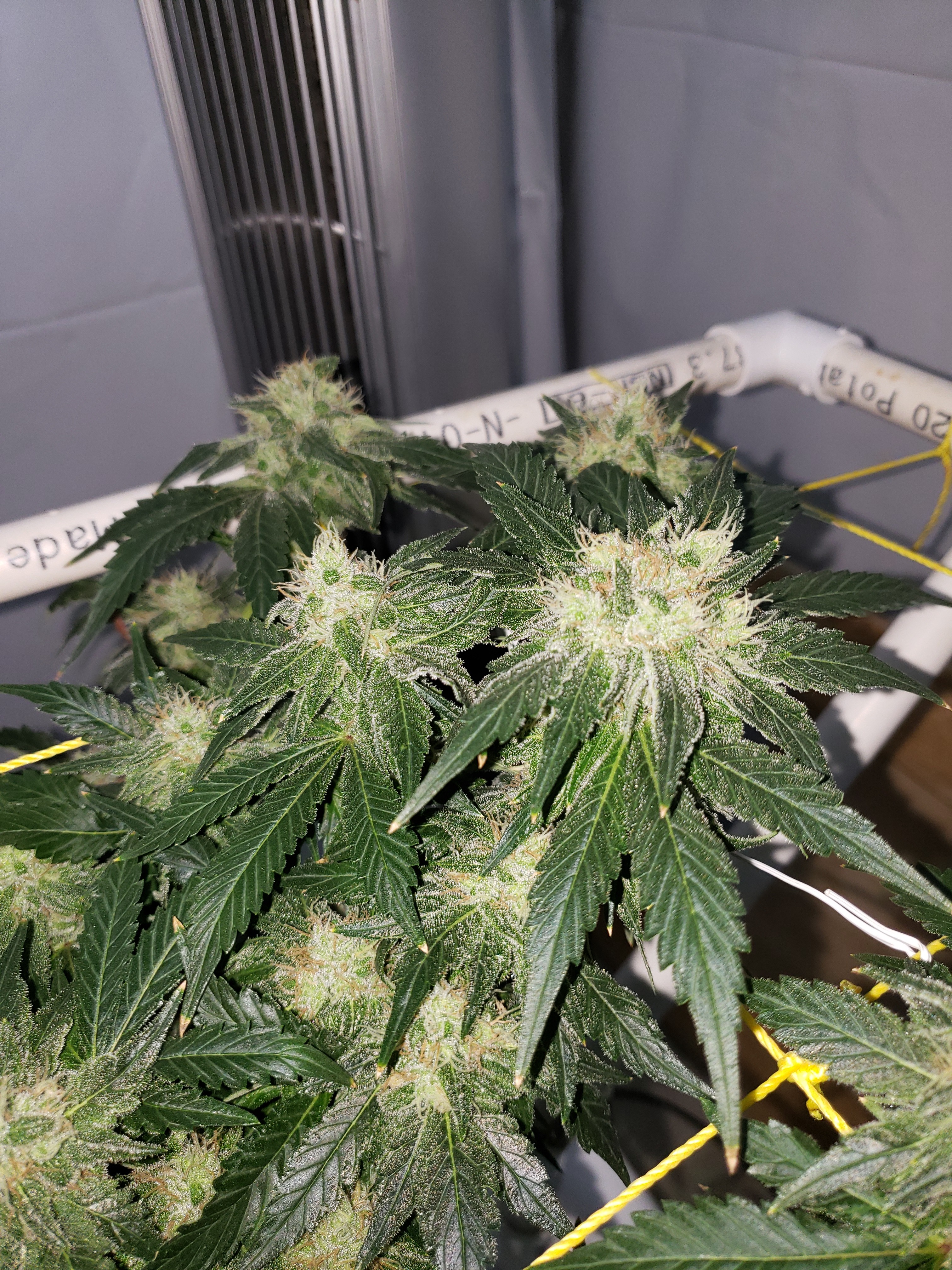 20190811_090627[1].jpg
