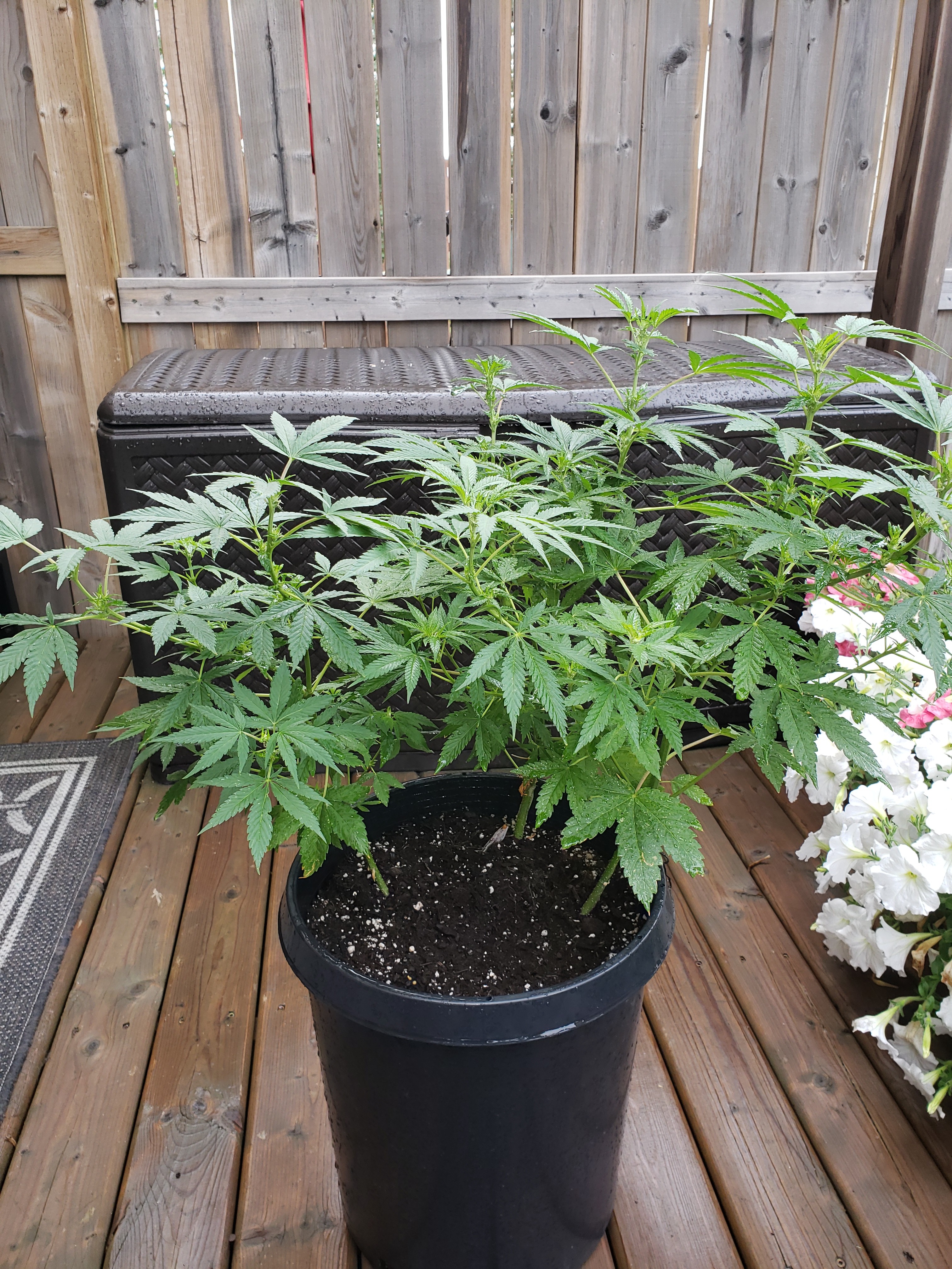 20190811_094014[1].jpg