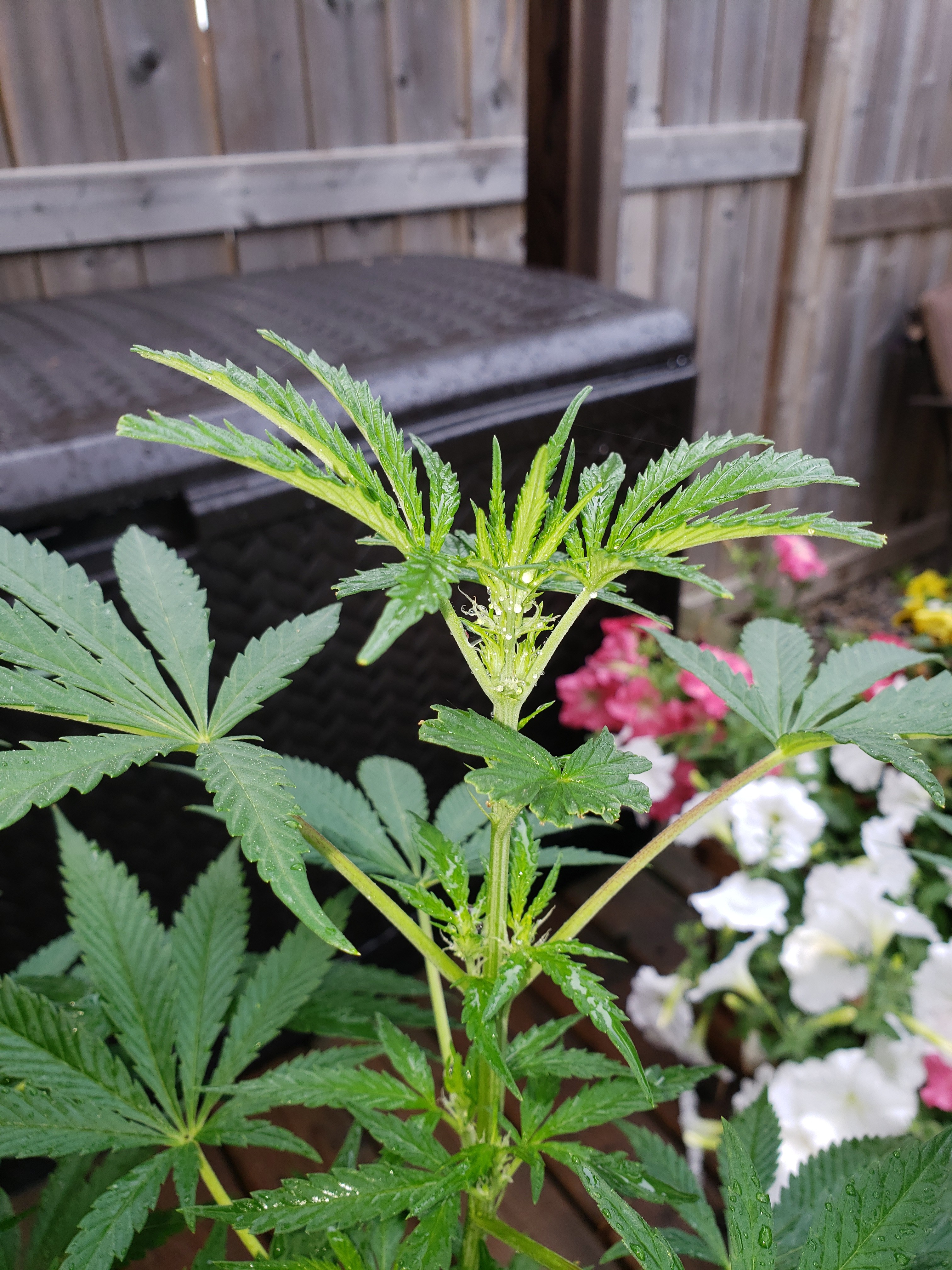20190811_094030[1].jpg
