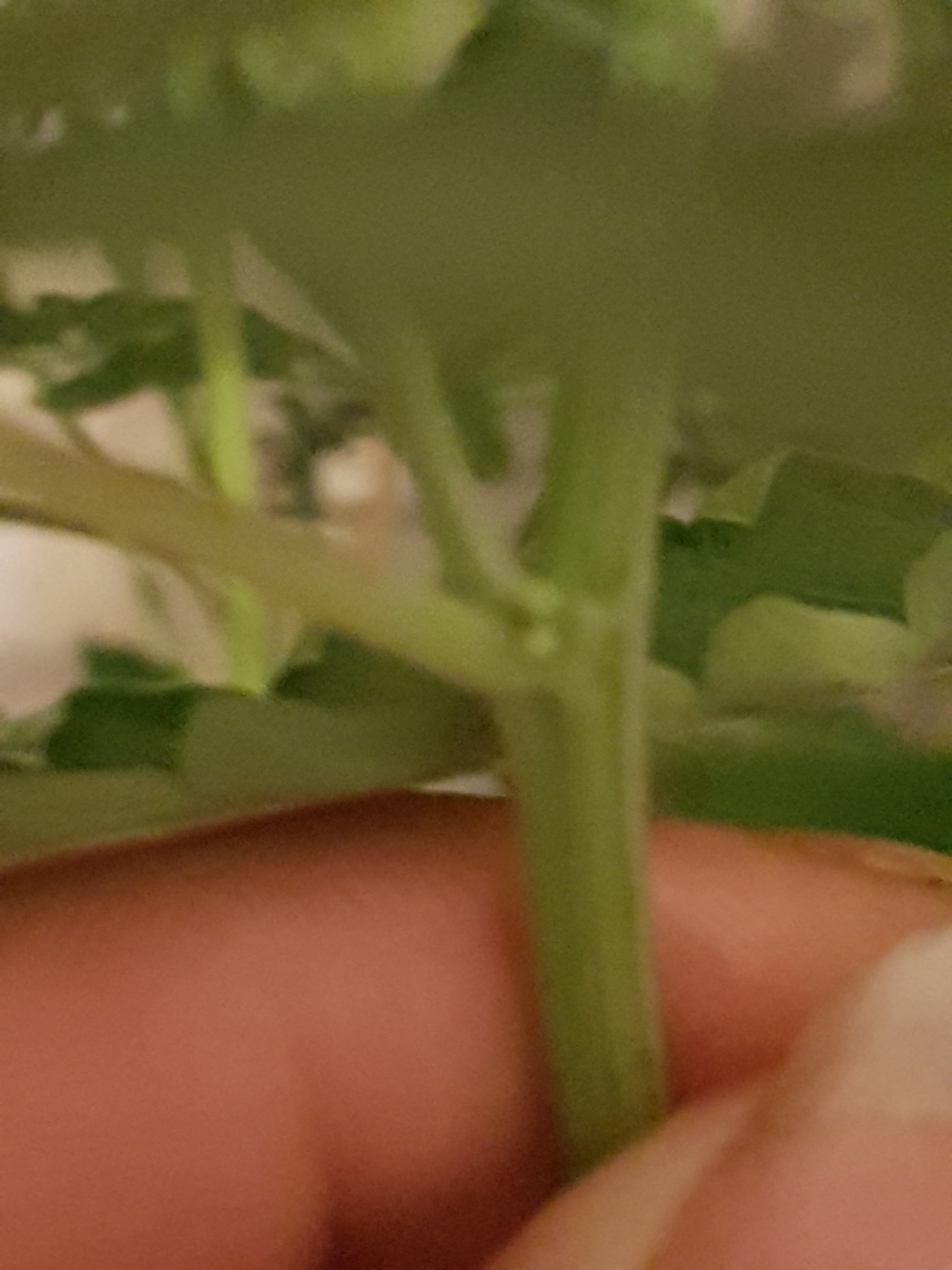 20190826_124040.jpg