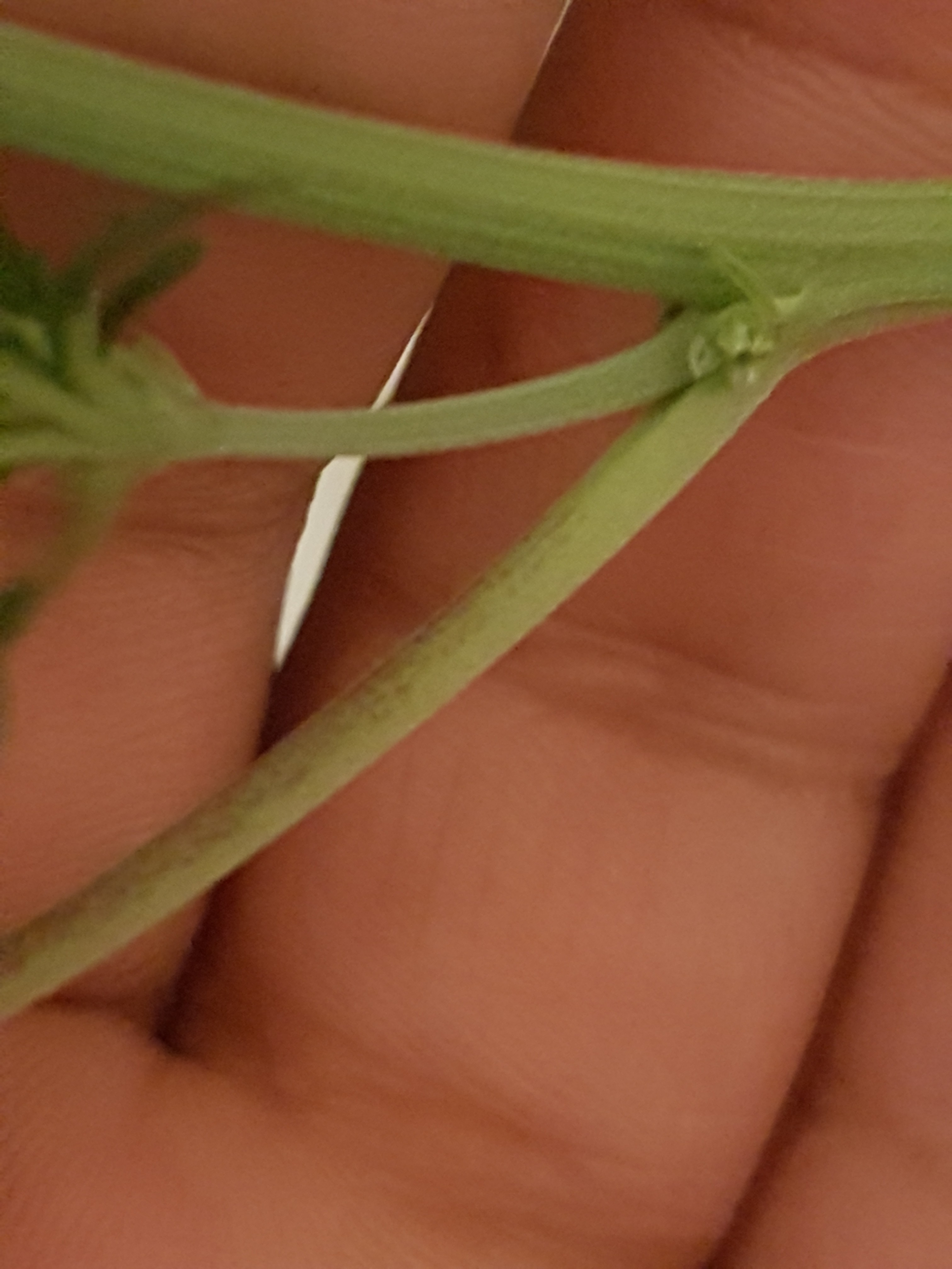 20190826_124114.jpg