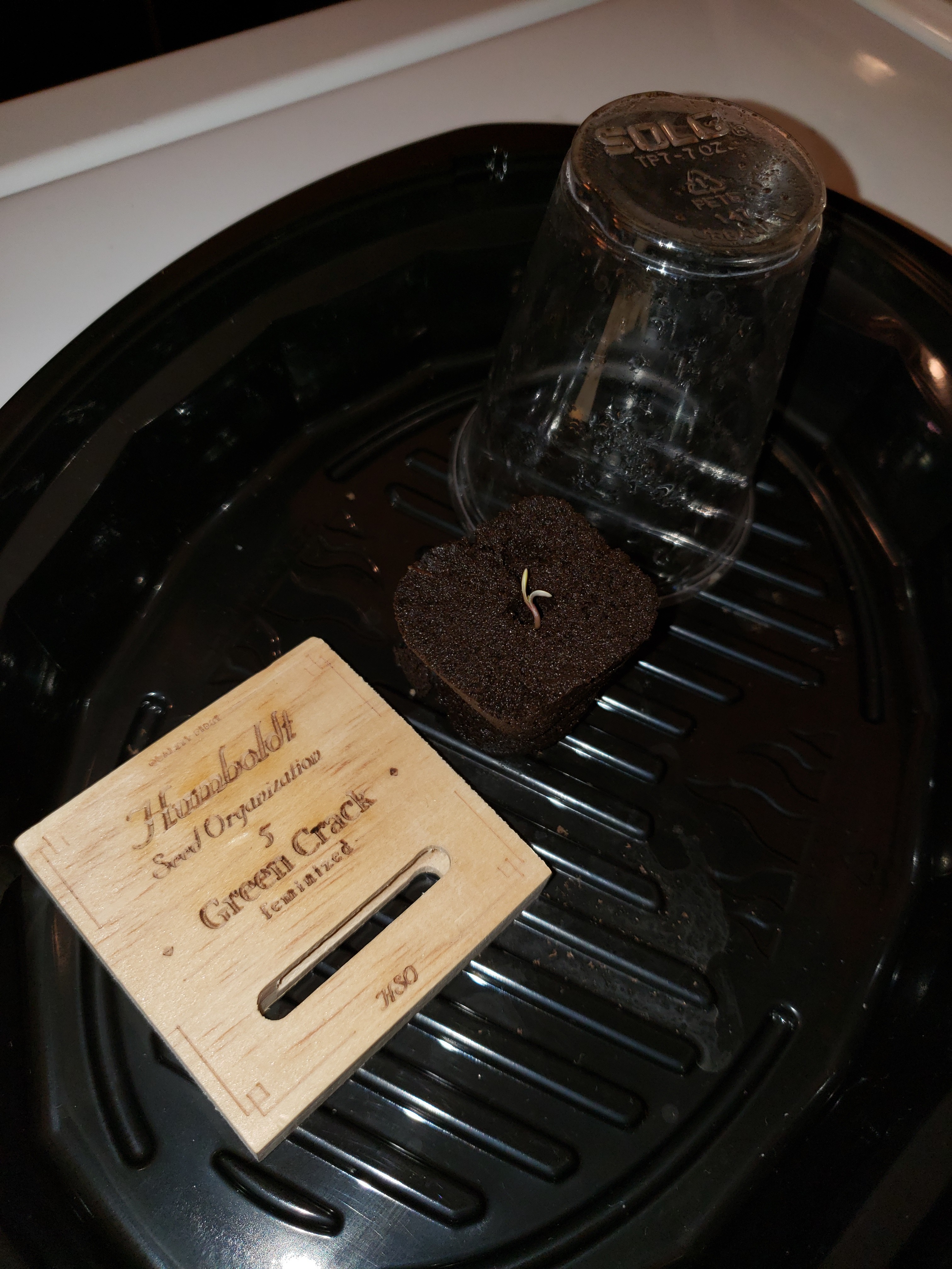 20190828_201038[1].jpg