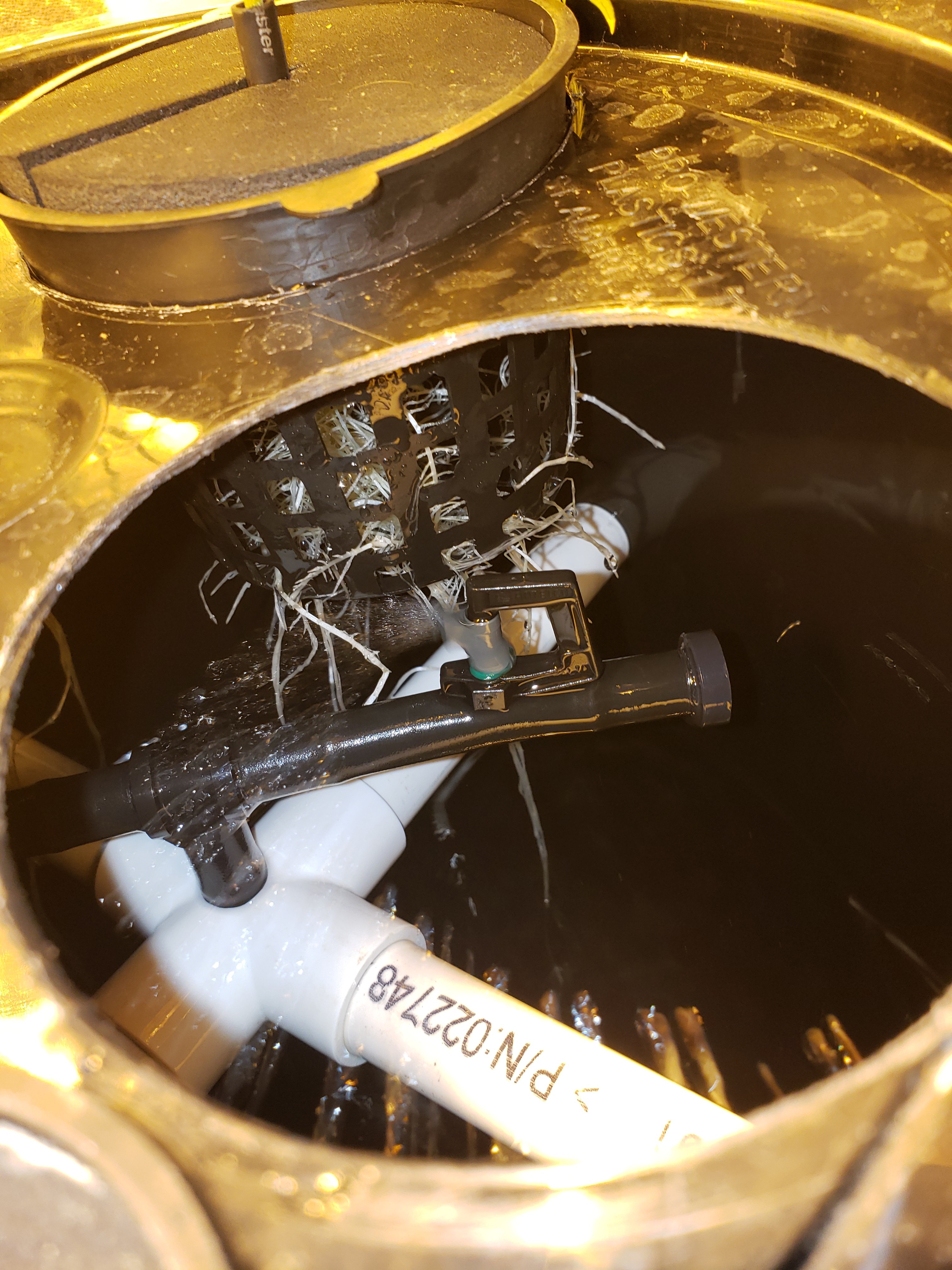 20190829_105051[1].jpg
