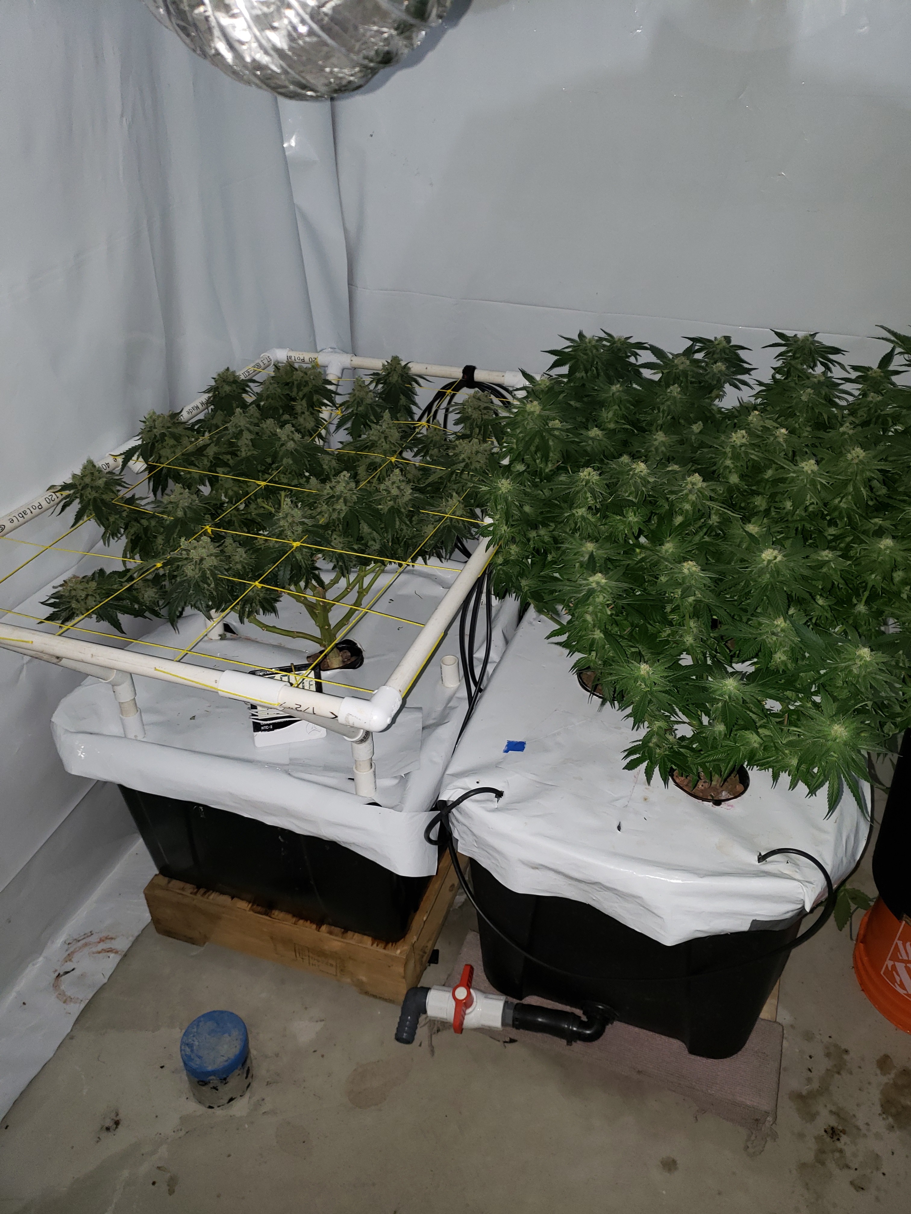 20190831_075101[1].jpg