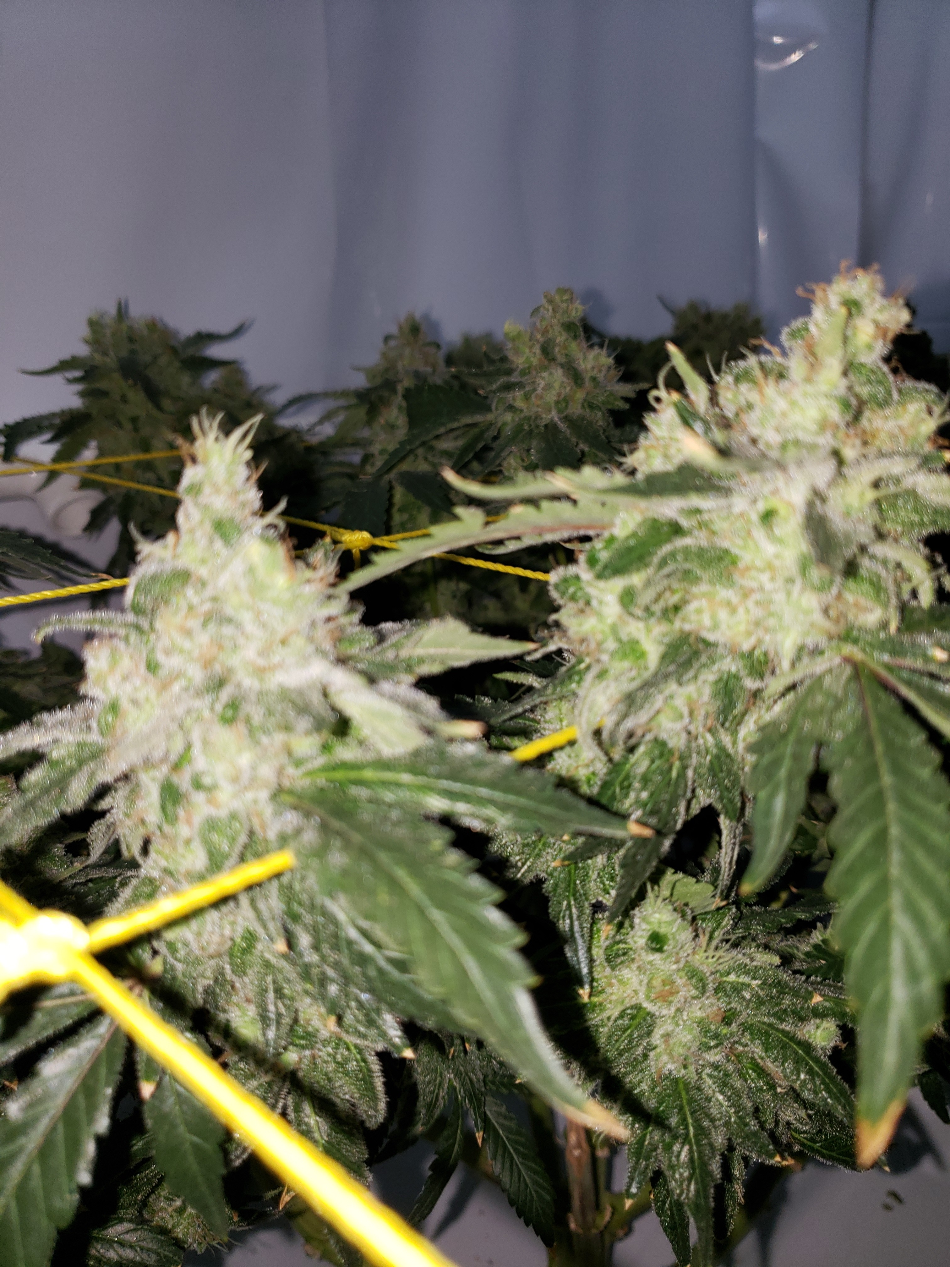 20190831_075151[1].jpg
