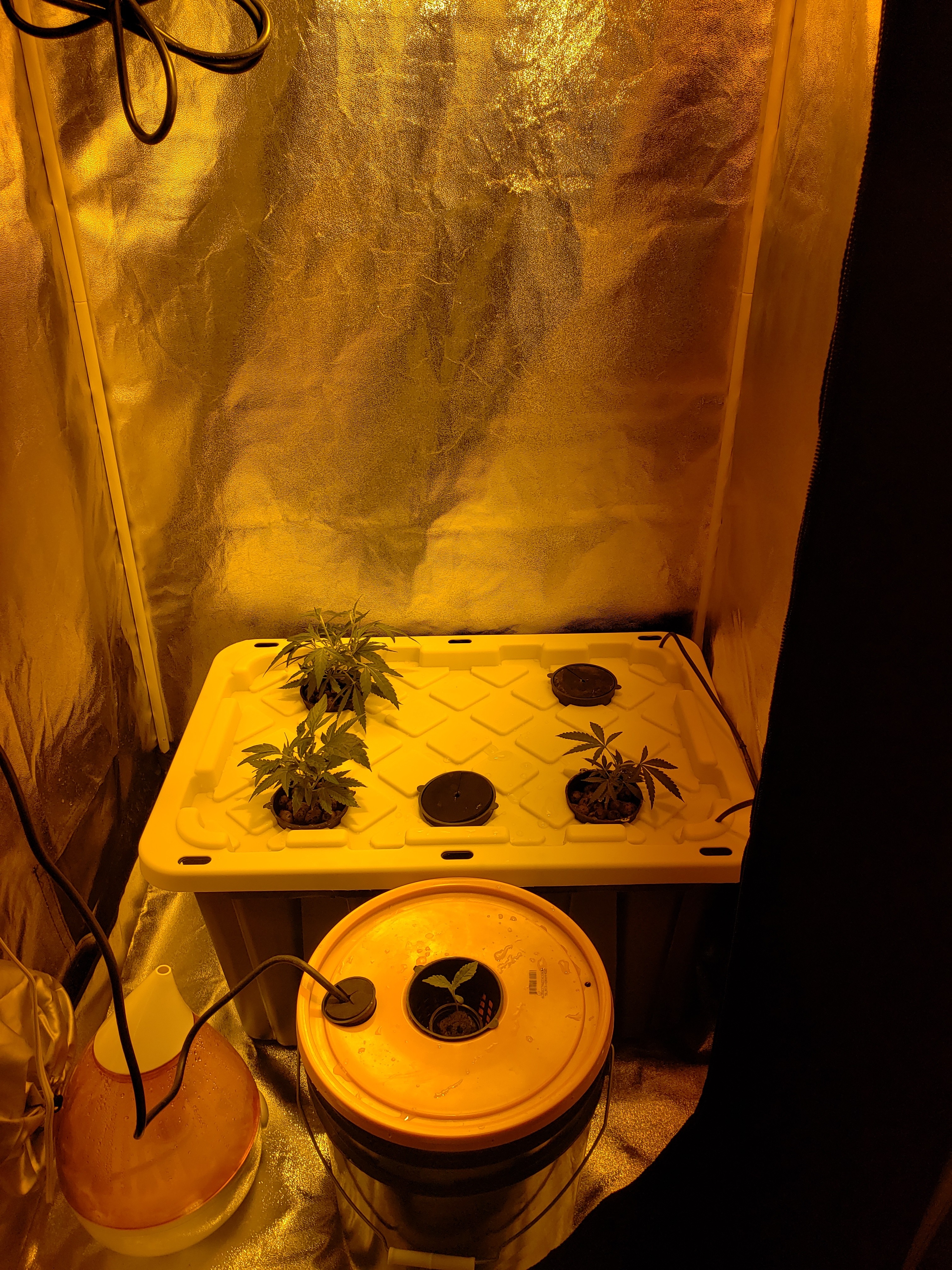 20190904_134432[1].jpg