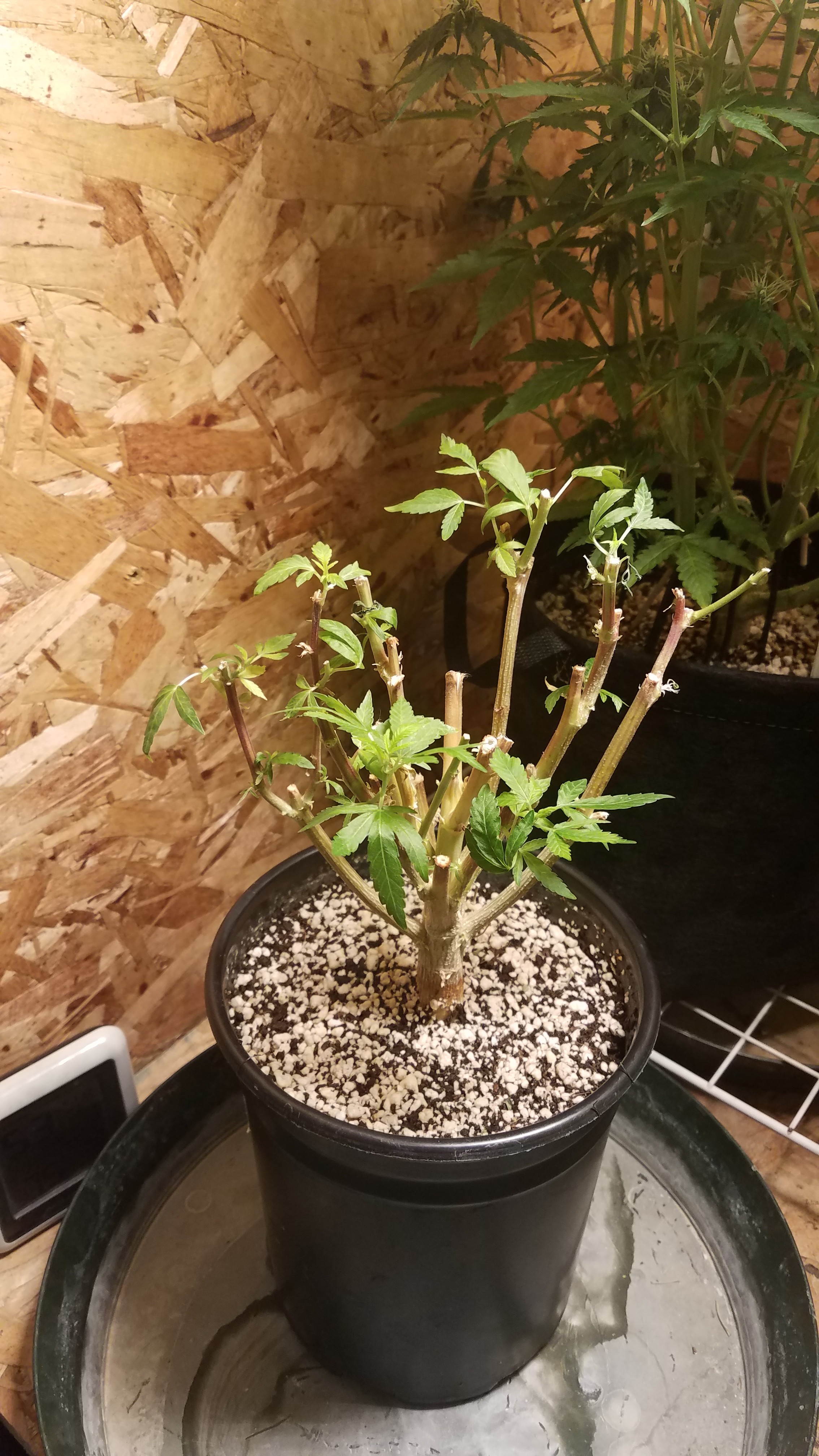 20190919_223747.jpg