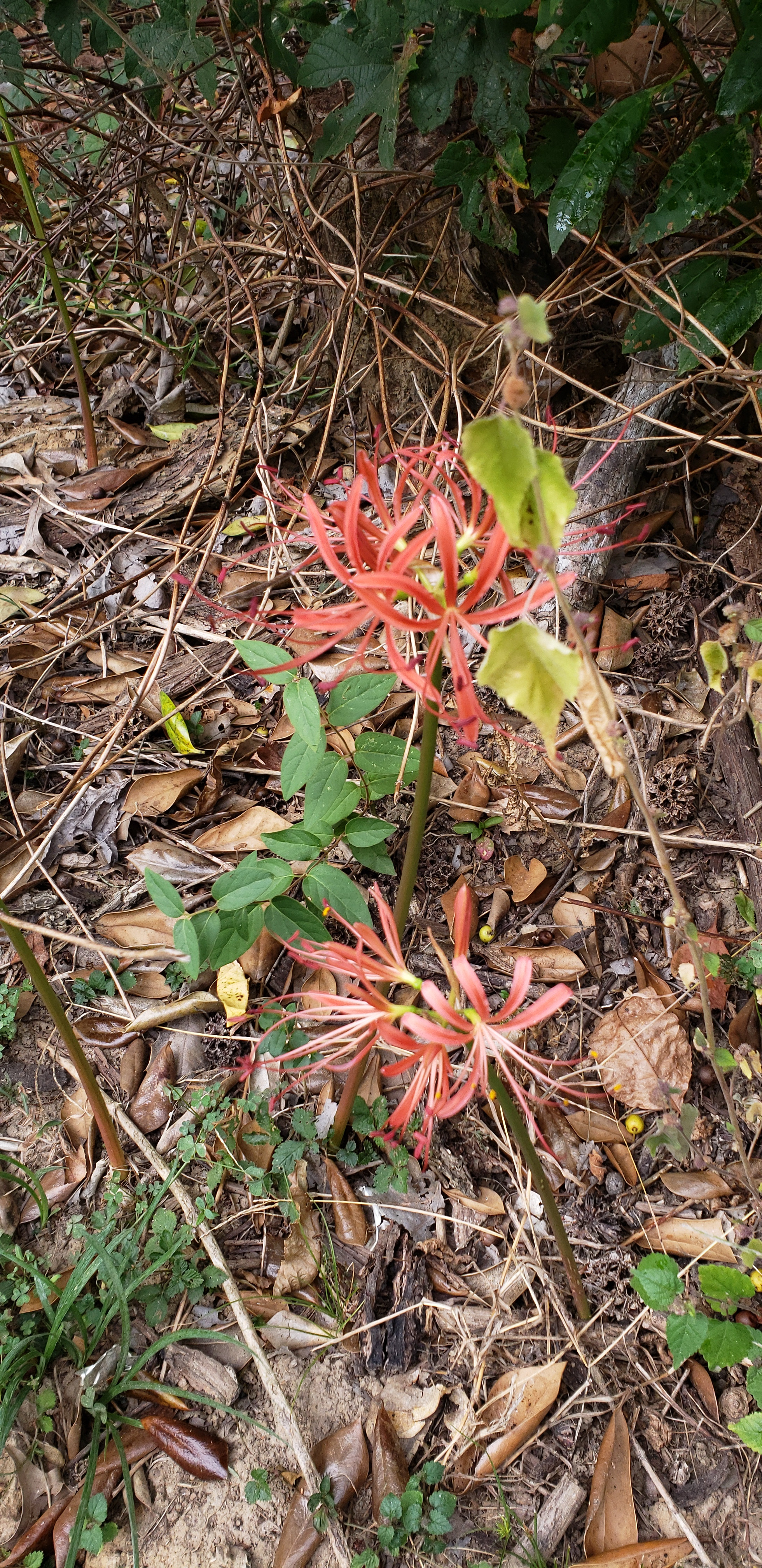 20191006_100633.jpg