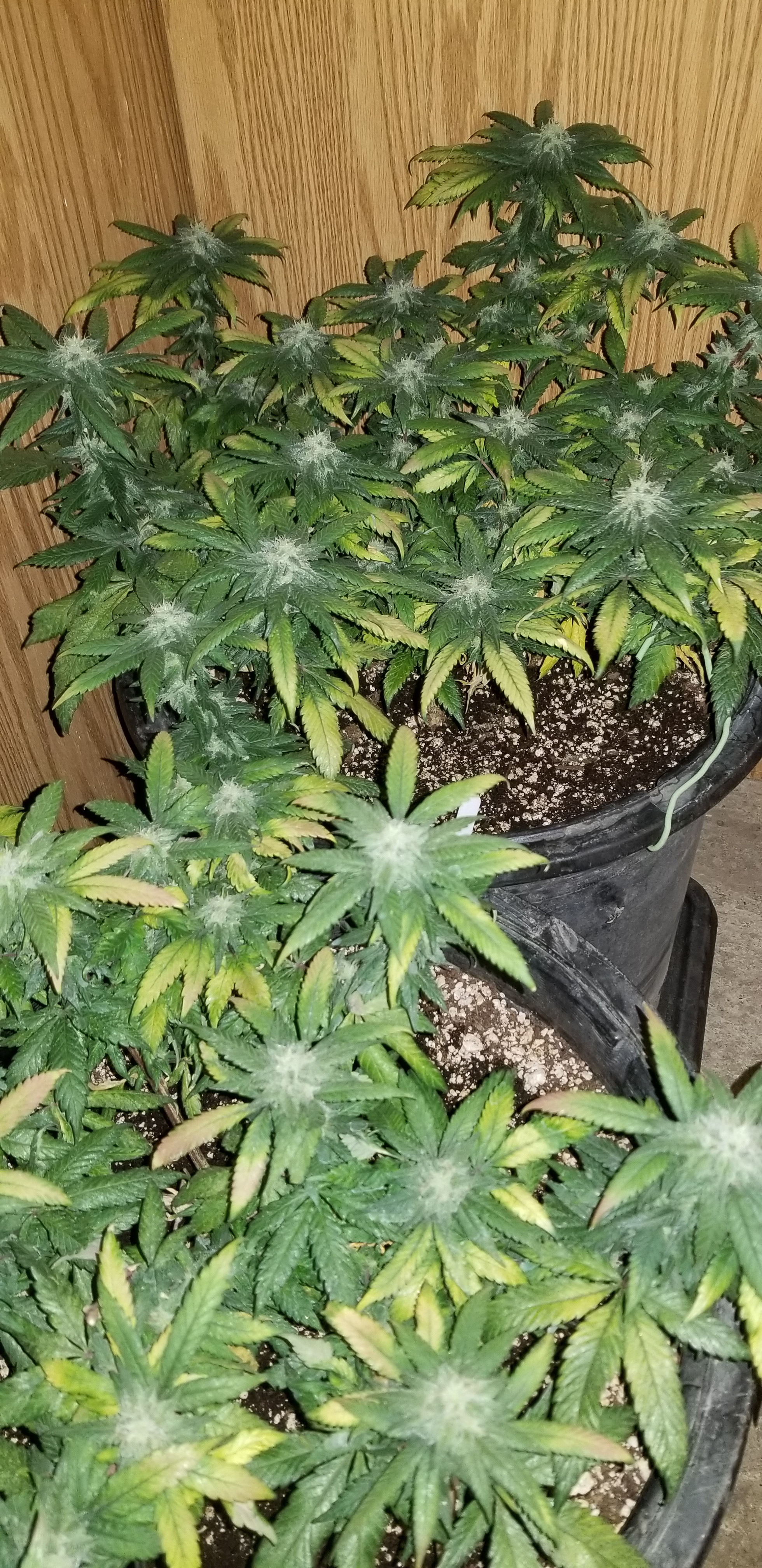 20191019_201255.jpg