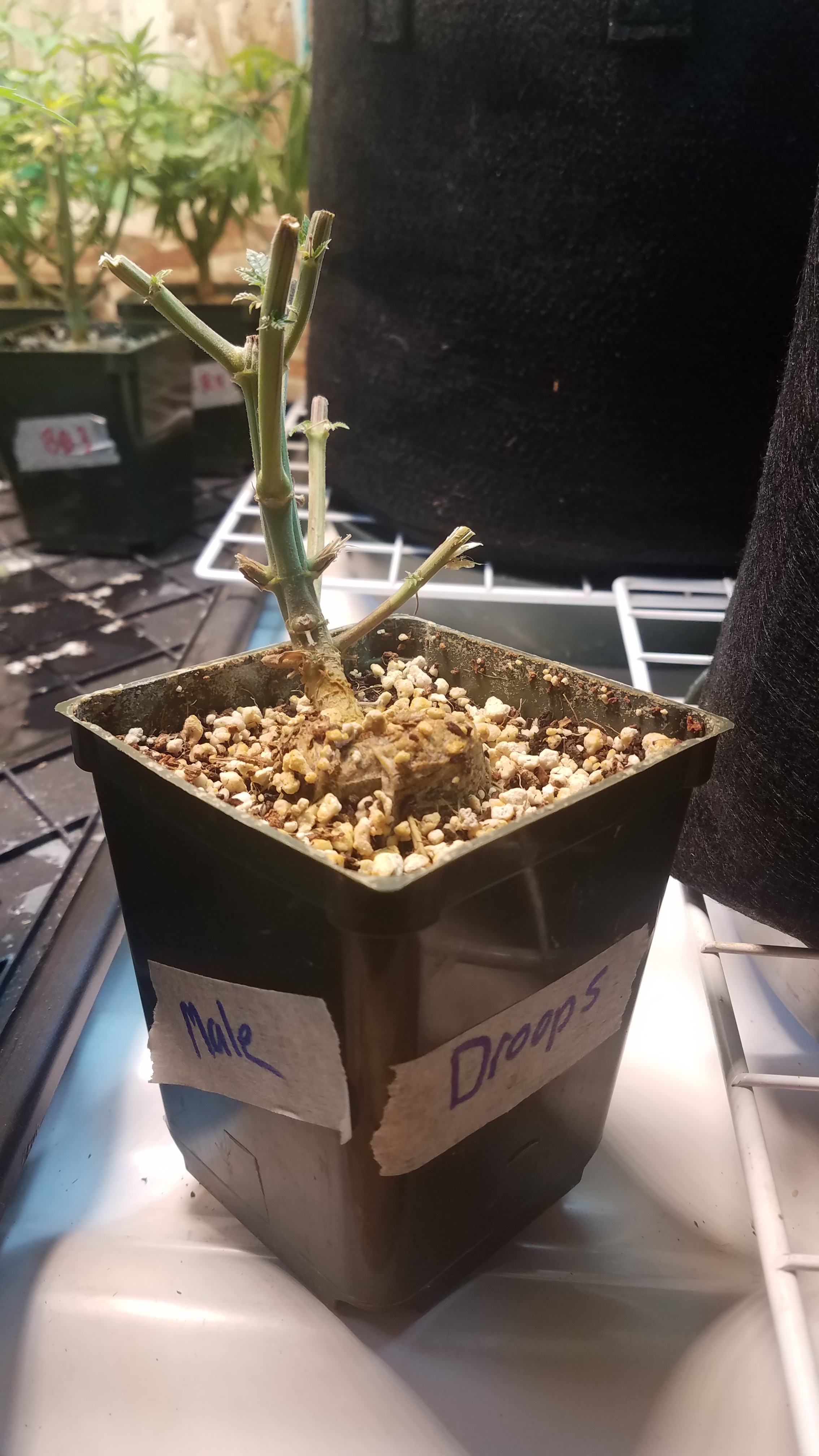 20191020_033044.jpg