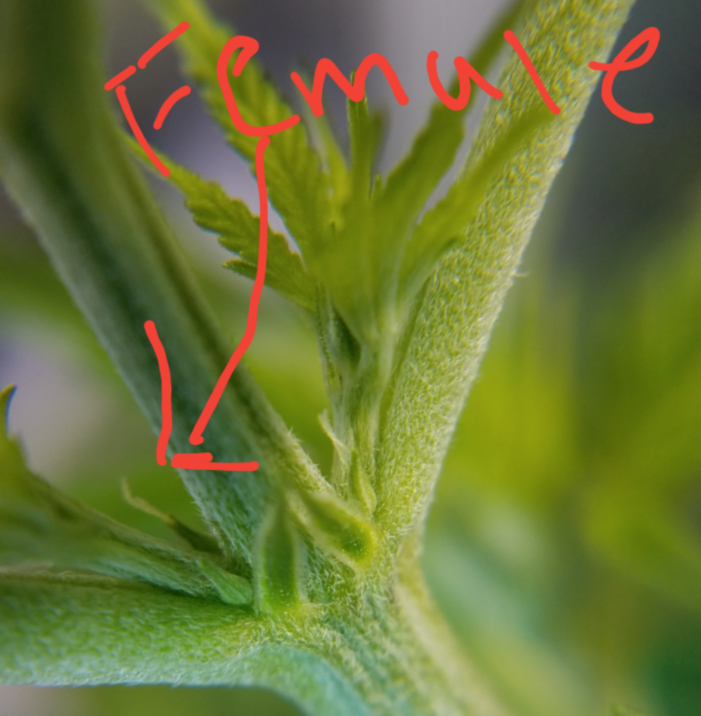 20191121_171657.png