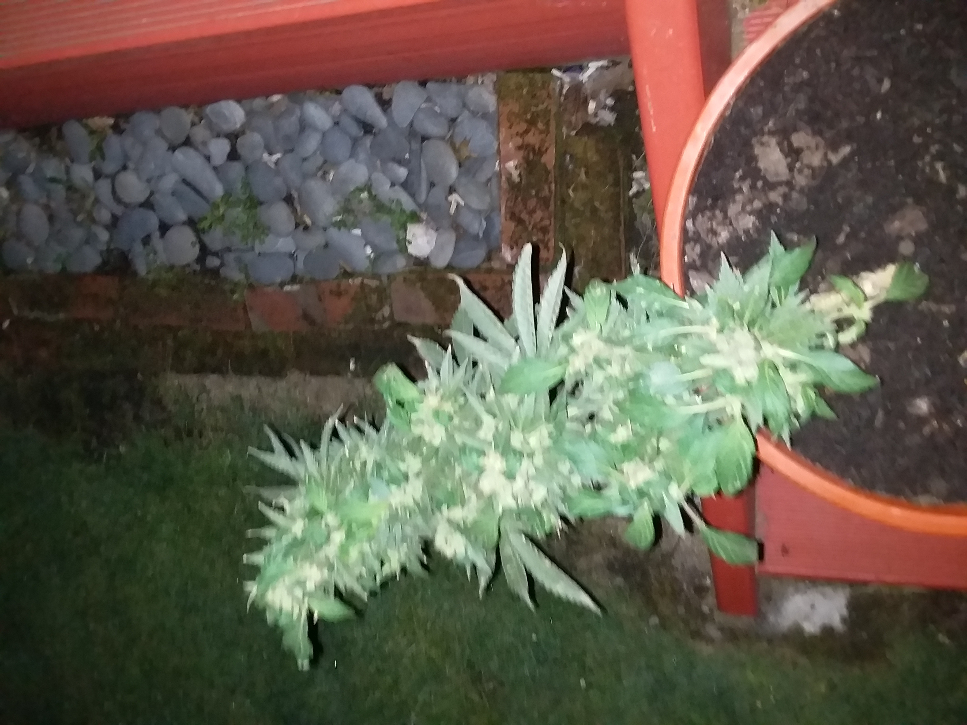 20191121_215531.jpg