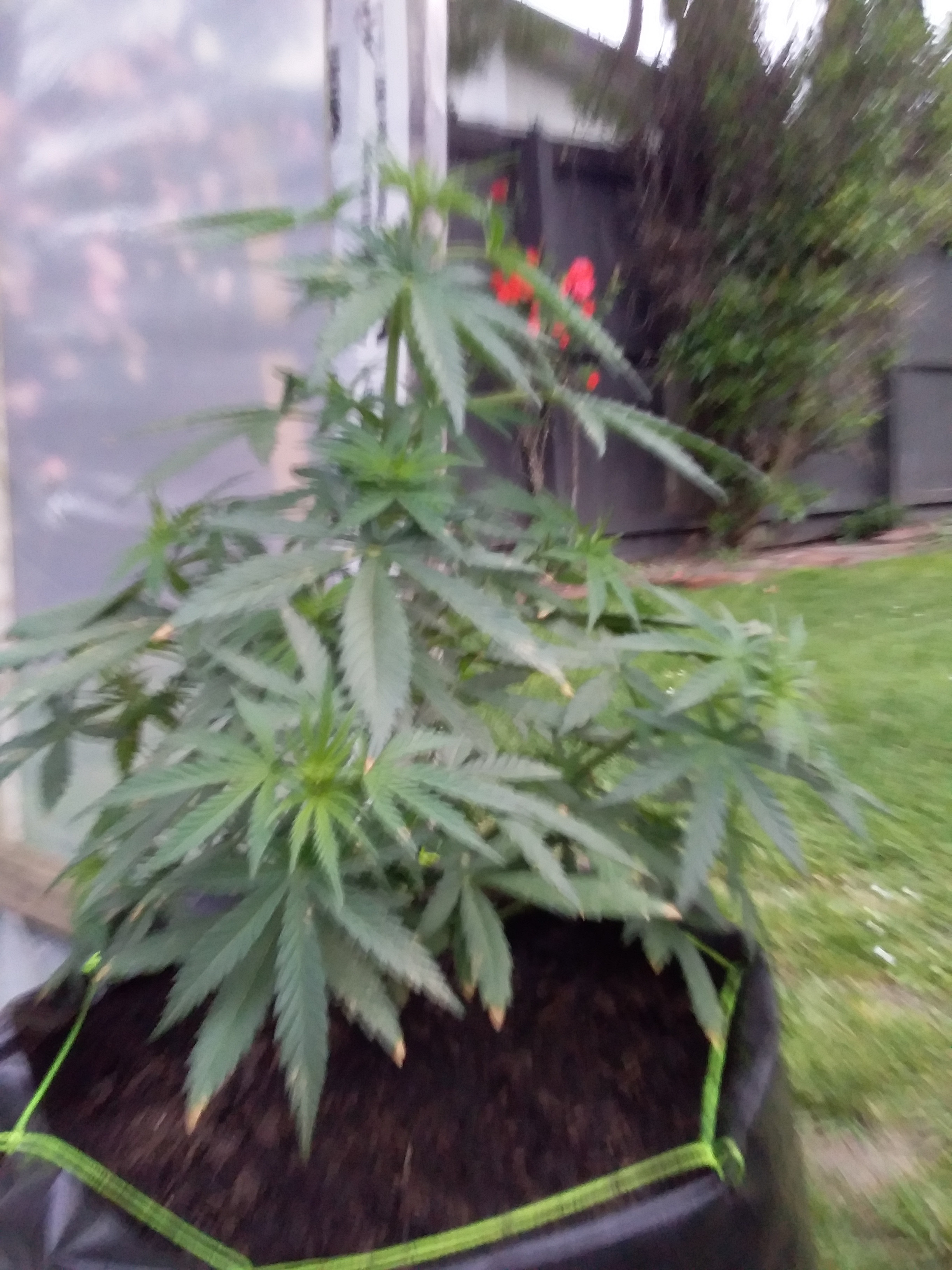 20191123_200353.jpg