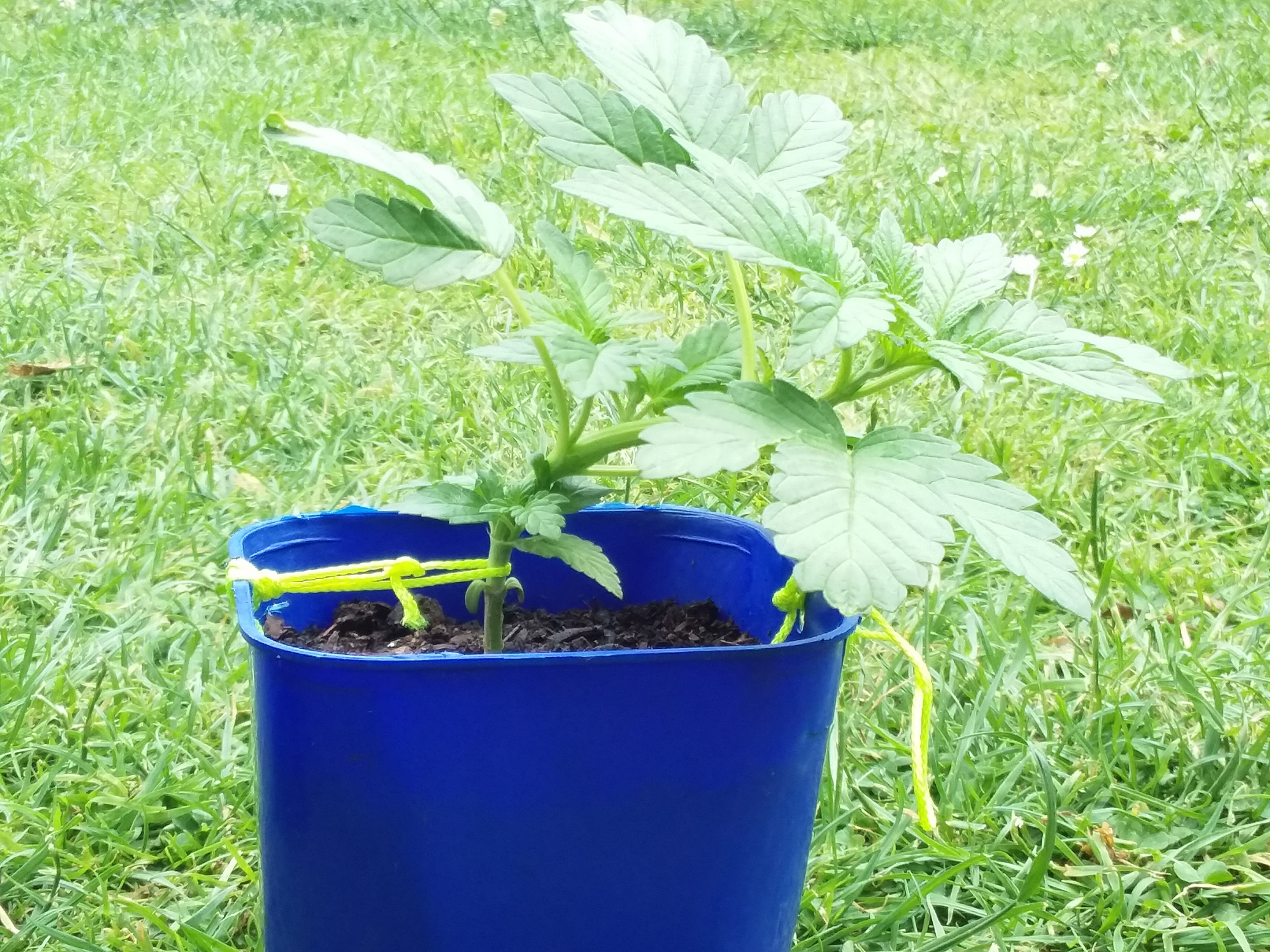 20191130_121224.jpg