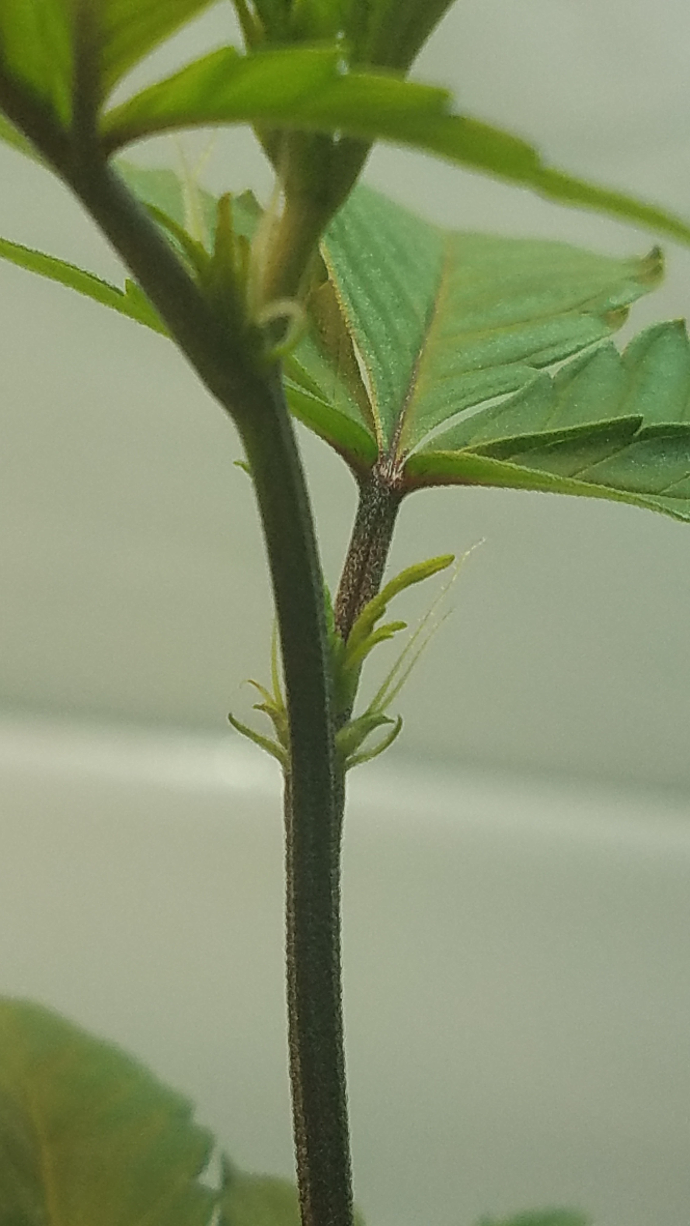 20191206_164648.jpg