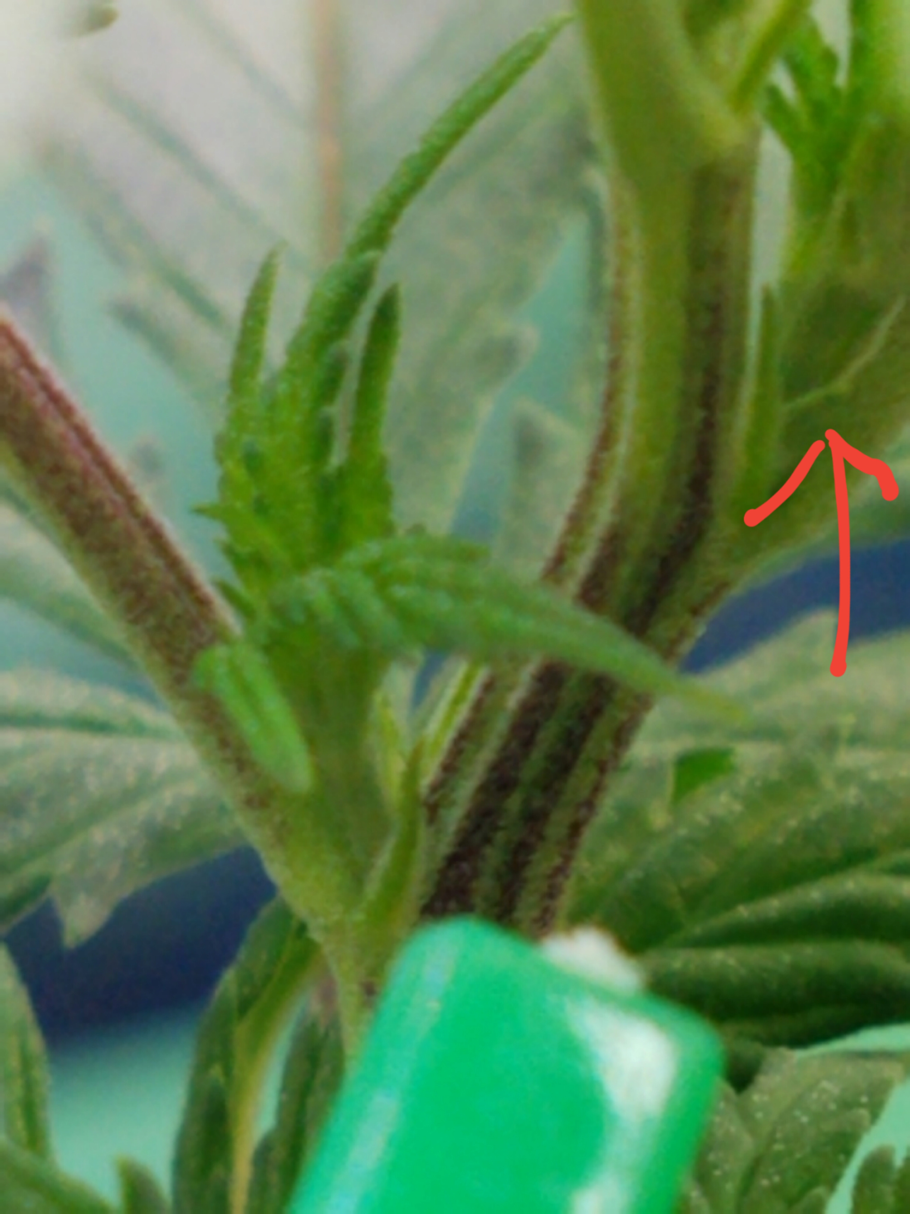 20191206_173634.jpg