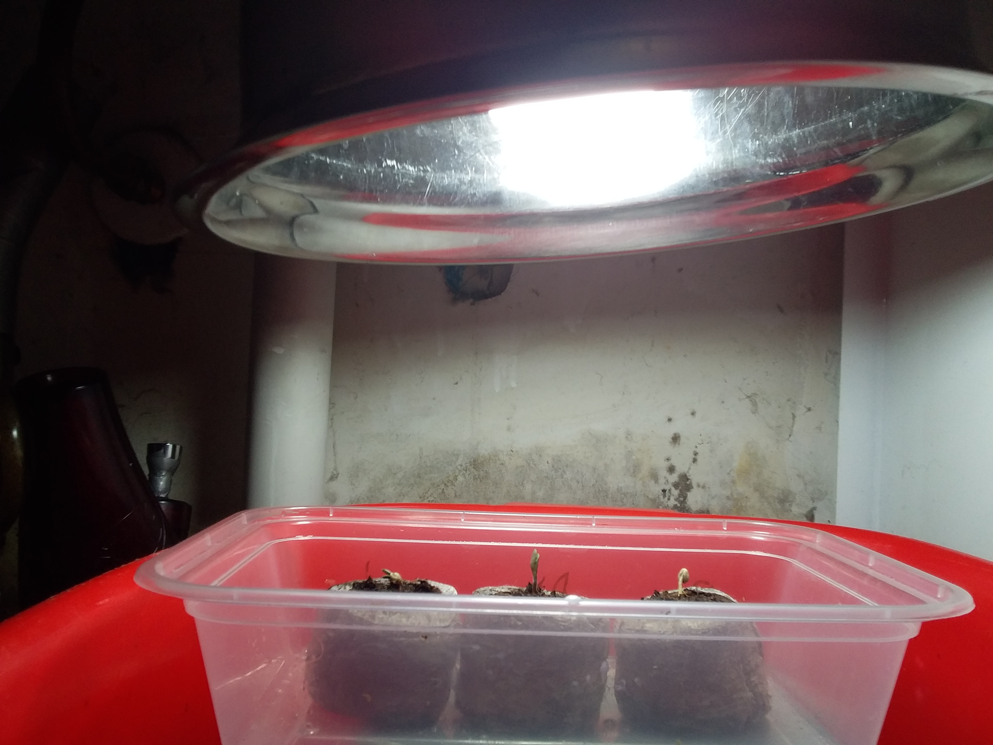 20191207_125143.jpg