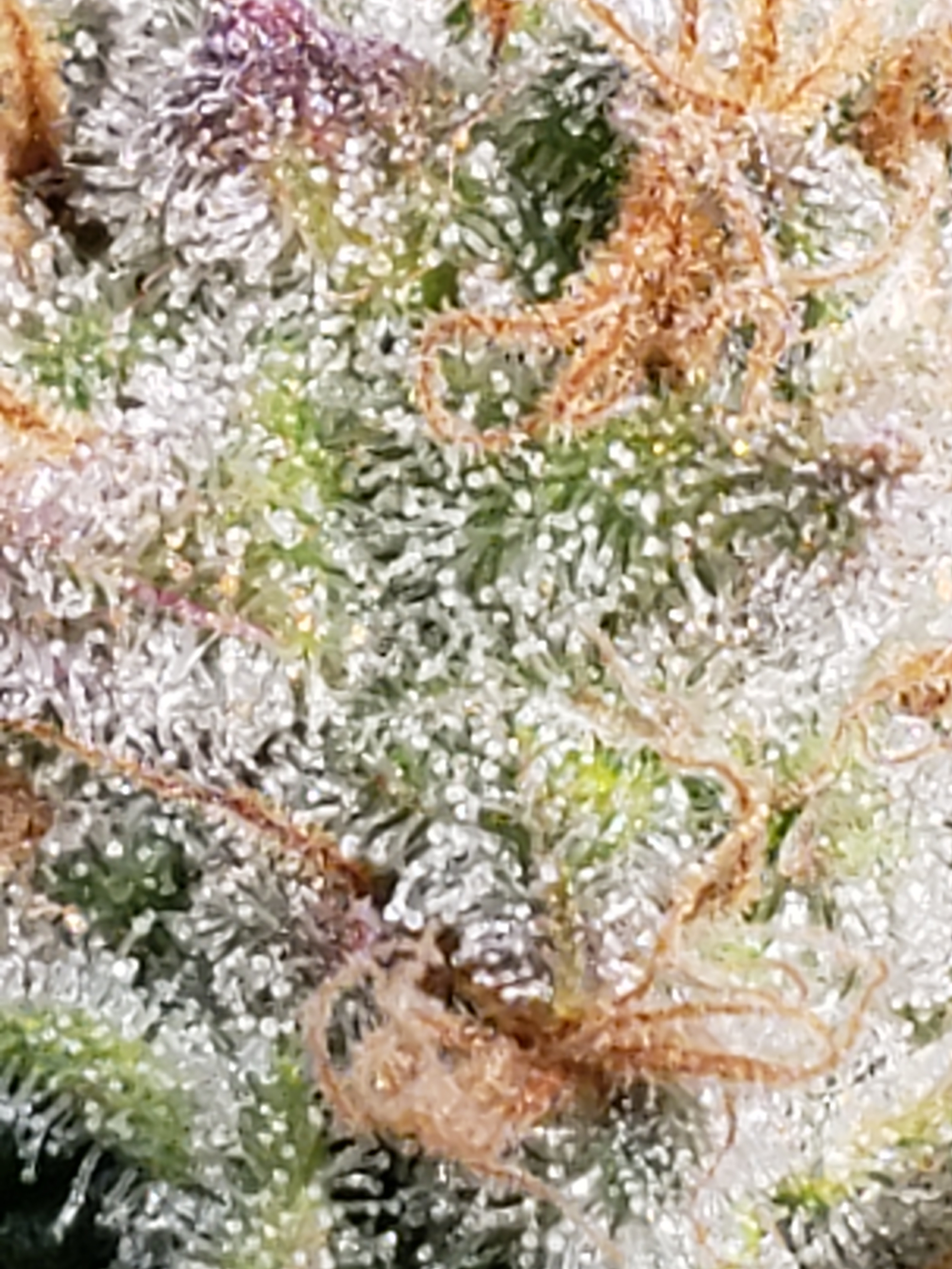 20191213_203205.jpg