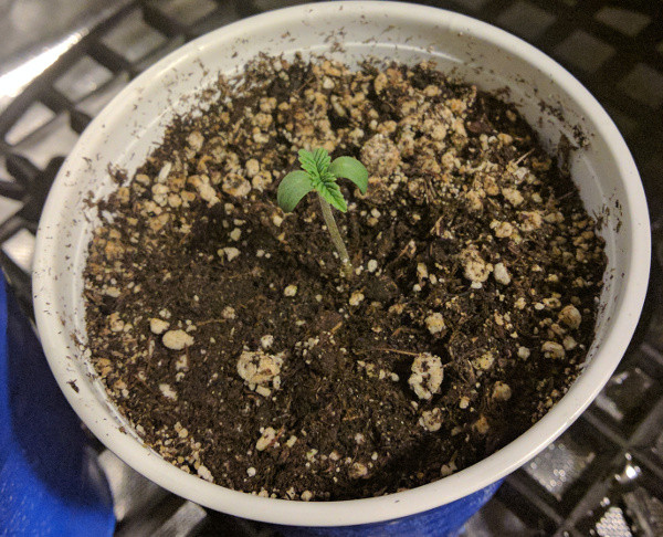 2020-02-17 C Scaled.jpg
