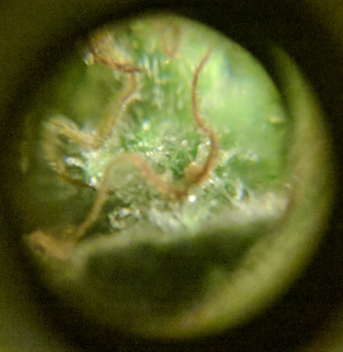 2020-06-02 12.40.24scaled.jpg