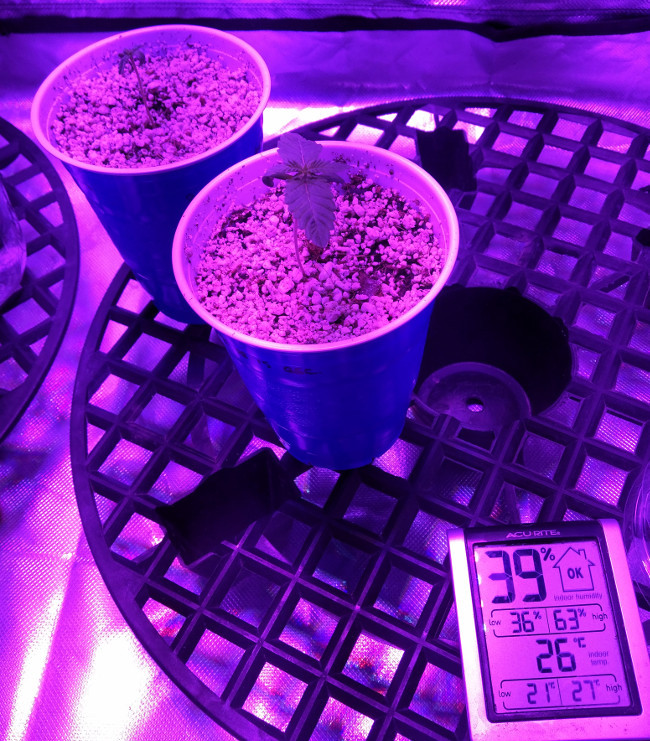 2020-08-23 13.35.17.jpg