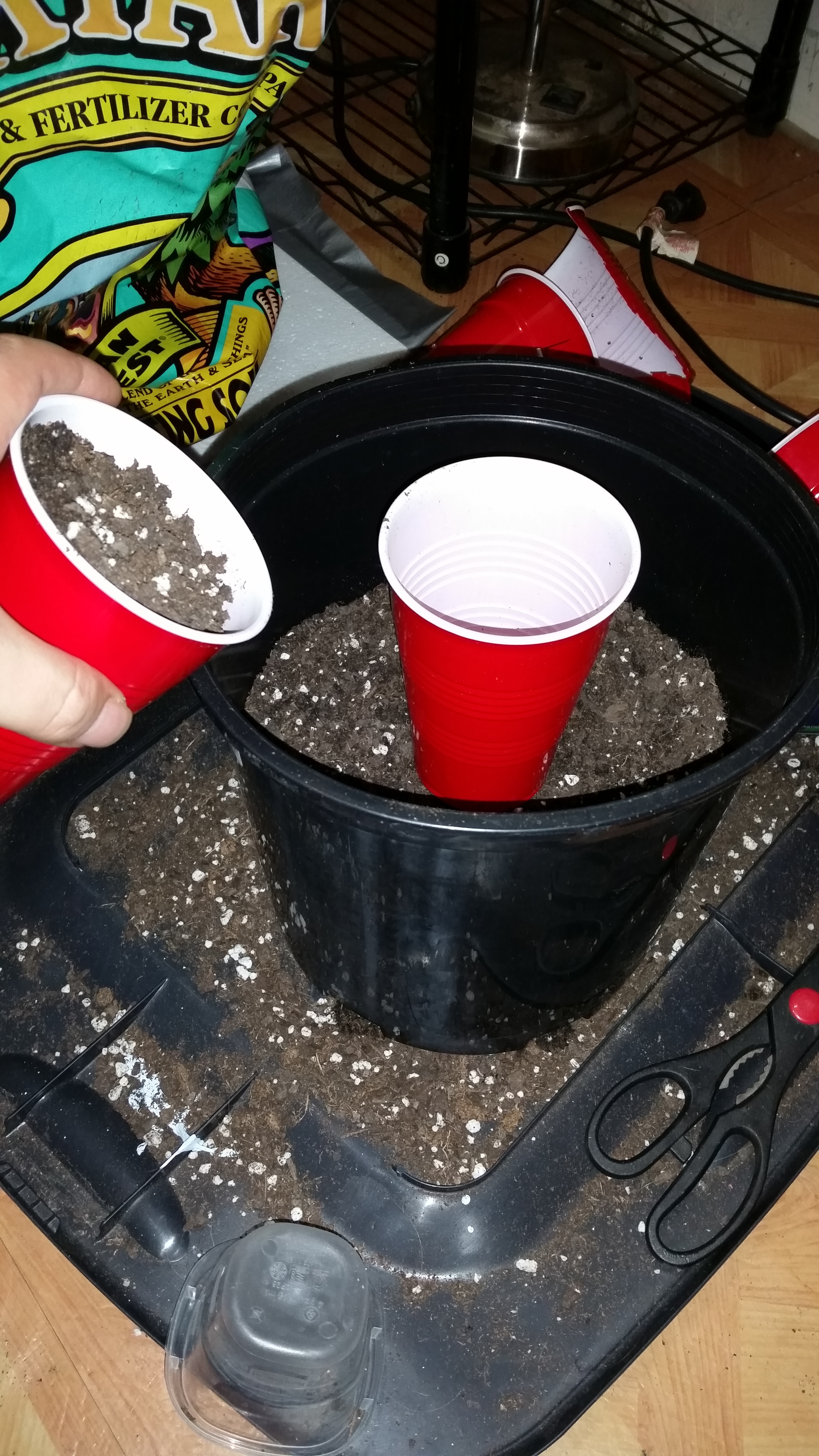 20200112_172810.jpg